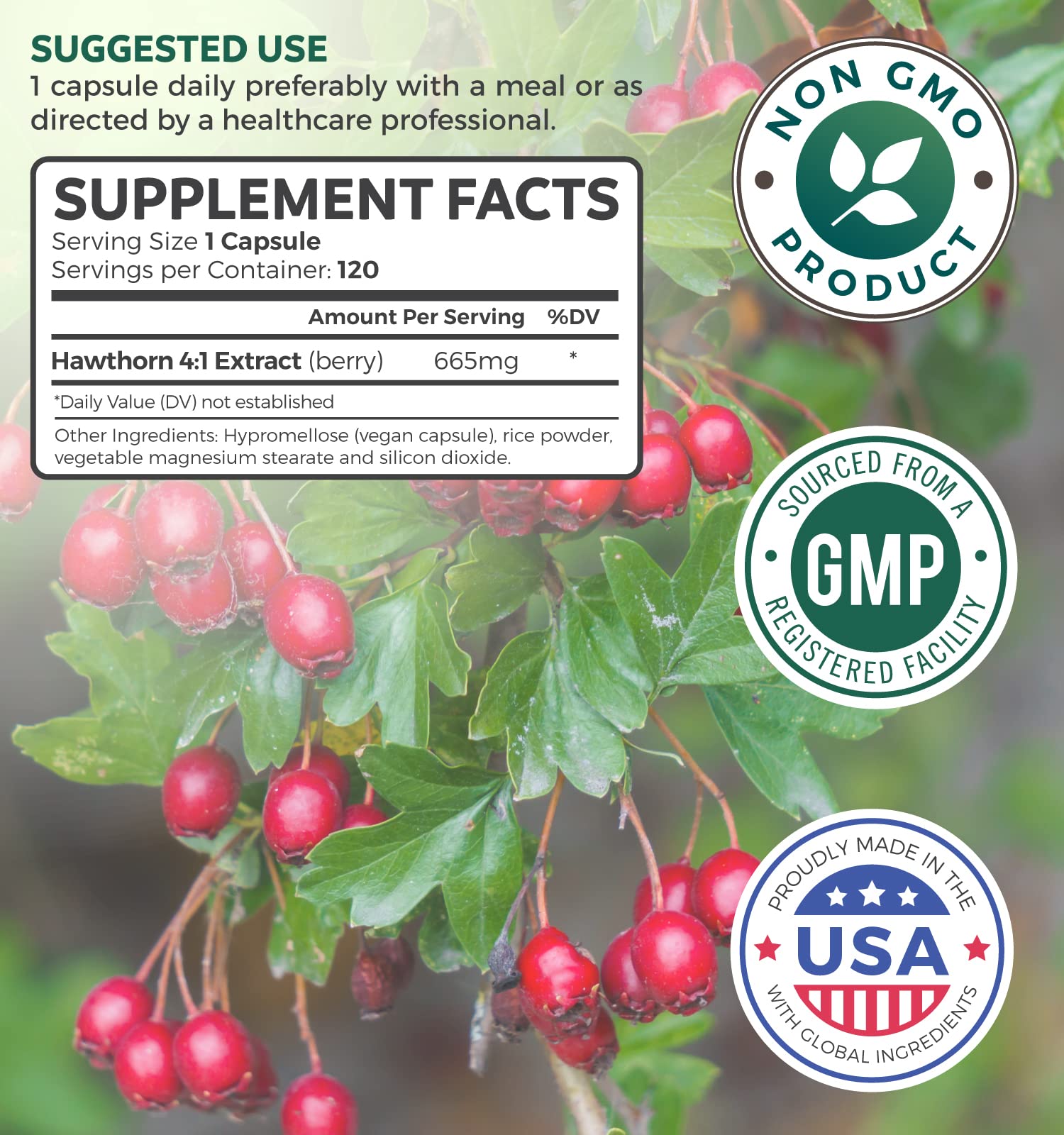 Hawthorn Berry Capsules - 4 Month Supply Digestion & Heart Health Supplement Healths Harmony Au supplements