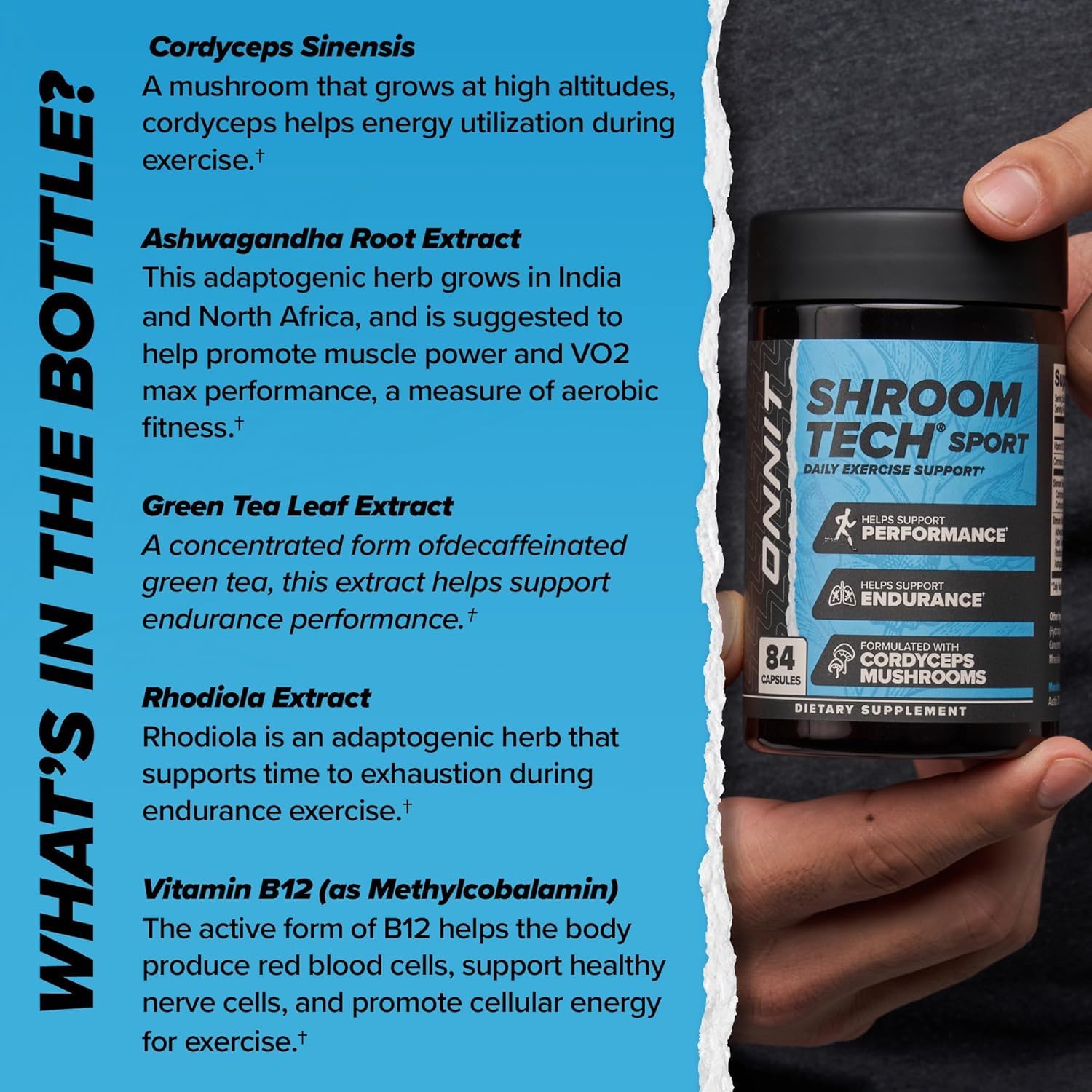 ONNIT Cognitive & Endurance Support Bundle: Alpha Brain Nootropic Capsules (90 Count) + Shroom Tech Sport Exercise Support Capsules (28 Count), IGEN Non-GMO Tested Focus, Energy & Endurance, 2 Pack ONNIT Au supplements