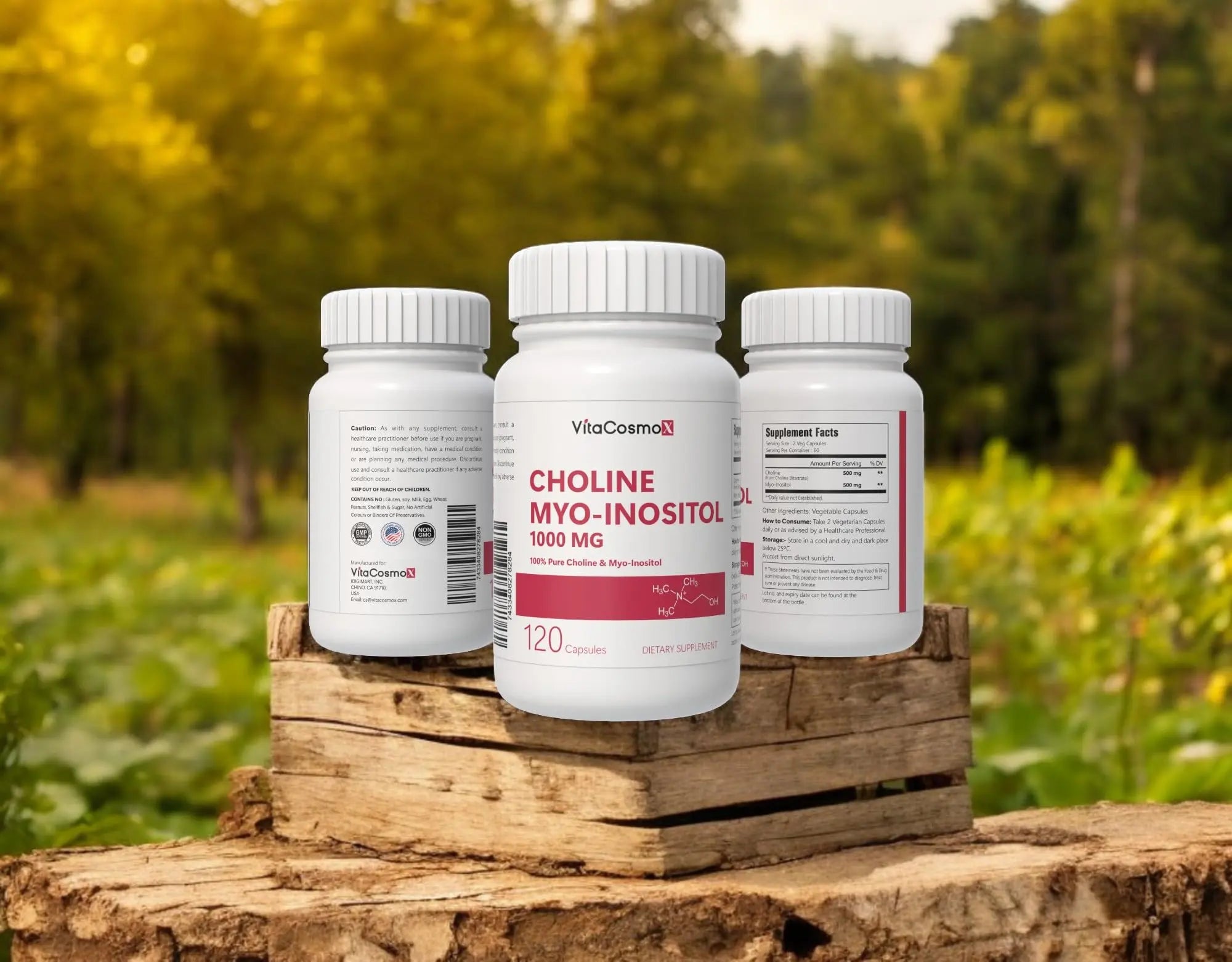 VitaCosmoX Choline and Myo-Inositol Supplement, 1000 mg Each, 120 Veggie Capsules 100% Vegetarian, Non-GMO & Gluten Free VitaCosmoX Au supplements