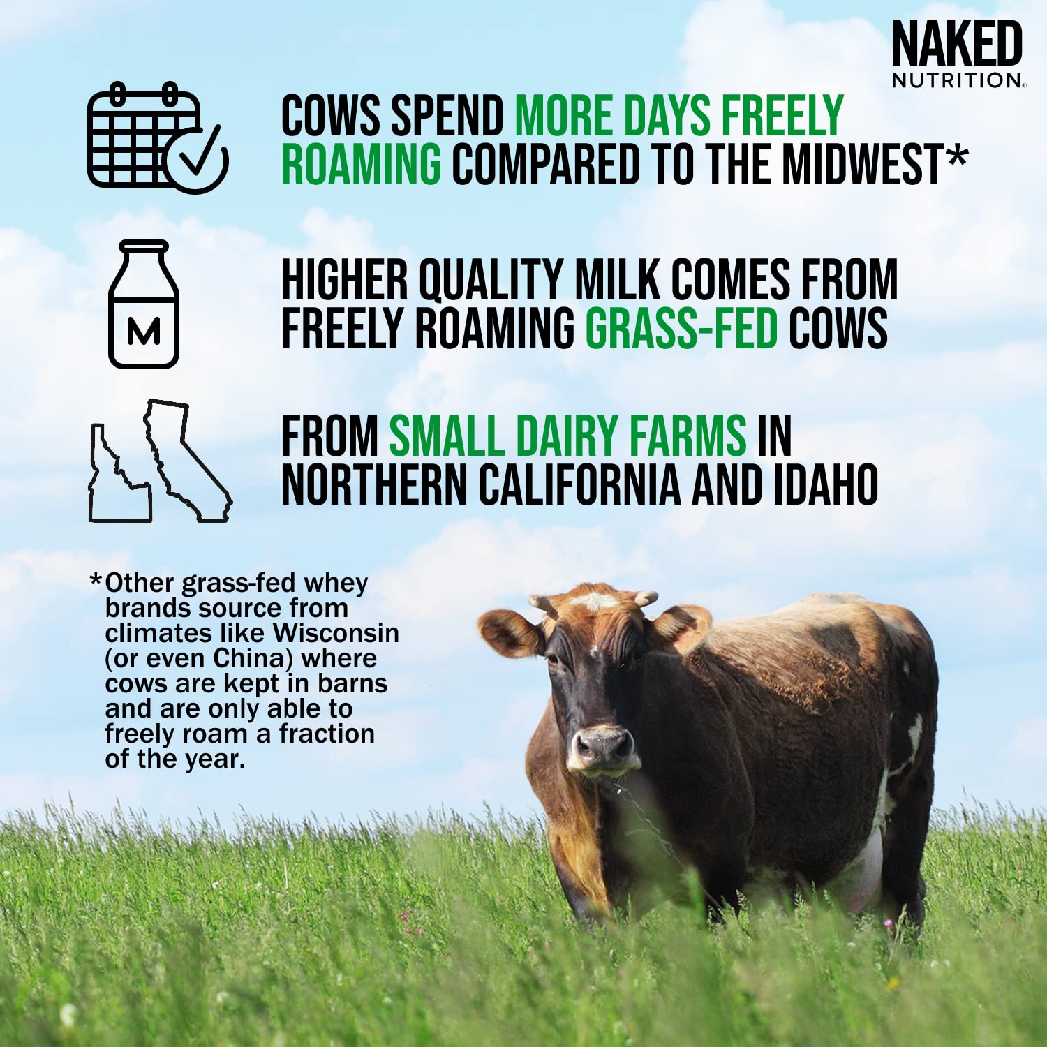 NAKED Nutrition Whey Vanilla Protein - All Natural Grass Fed Whey Protein Powder NAKED Au supplements