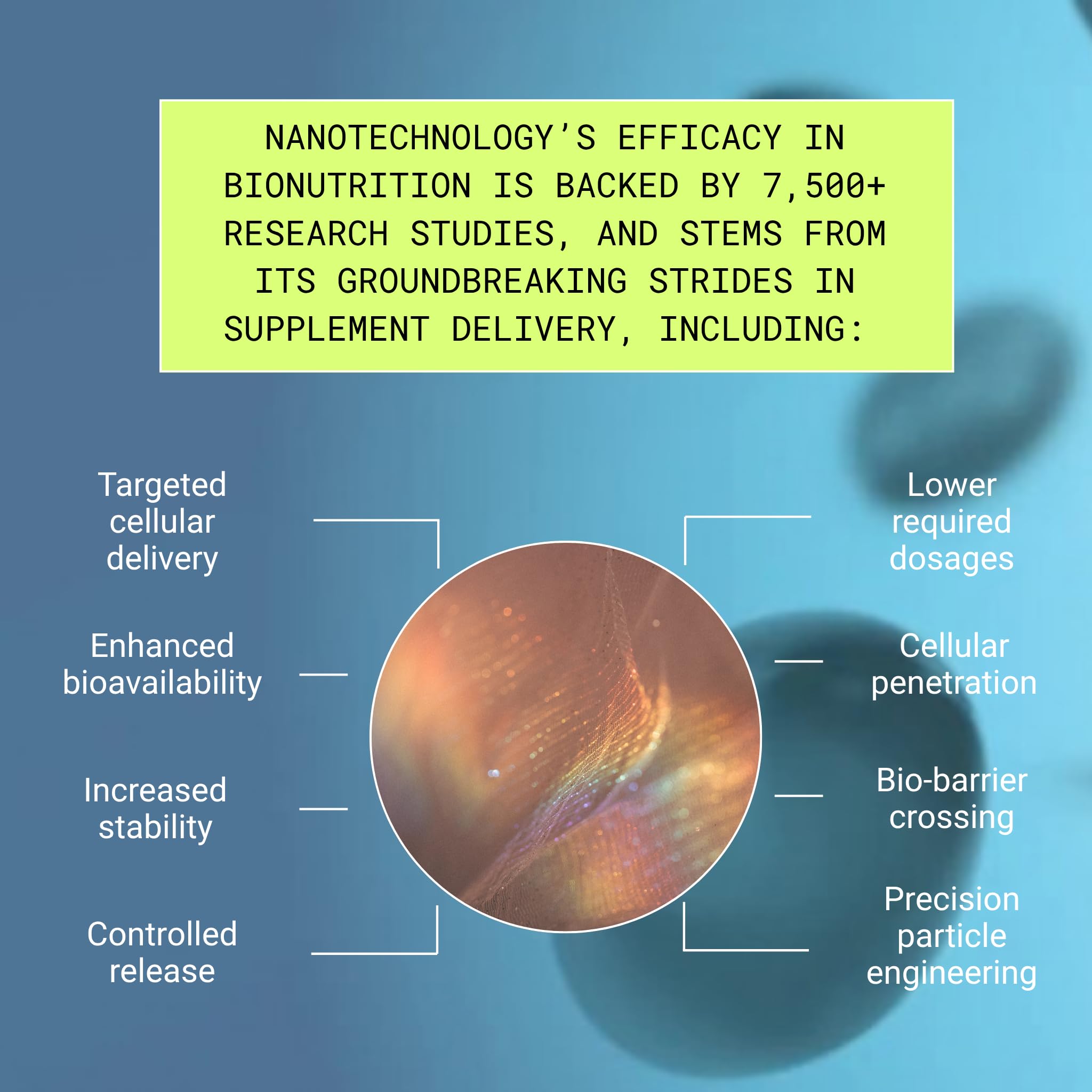 Essential Brain Health Supplements Nootropic for Memory and Focus – for Adults with NanoCap® Technology, Phosphatidylserine, Bacopa, Ginkgo Biloba, Omega 3, B6, B12, 60 Softgels by Greedy® Nutrition Platinum Health Au supplements