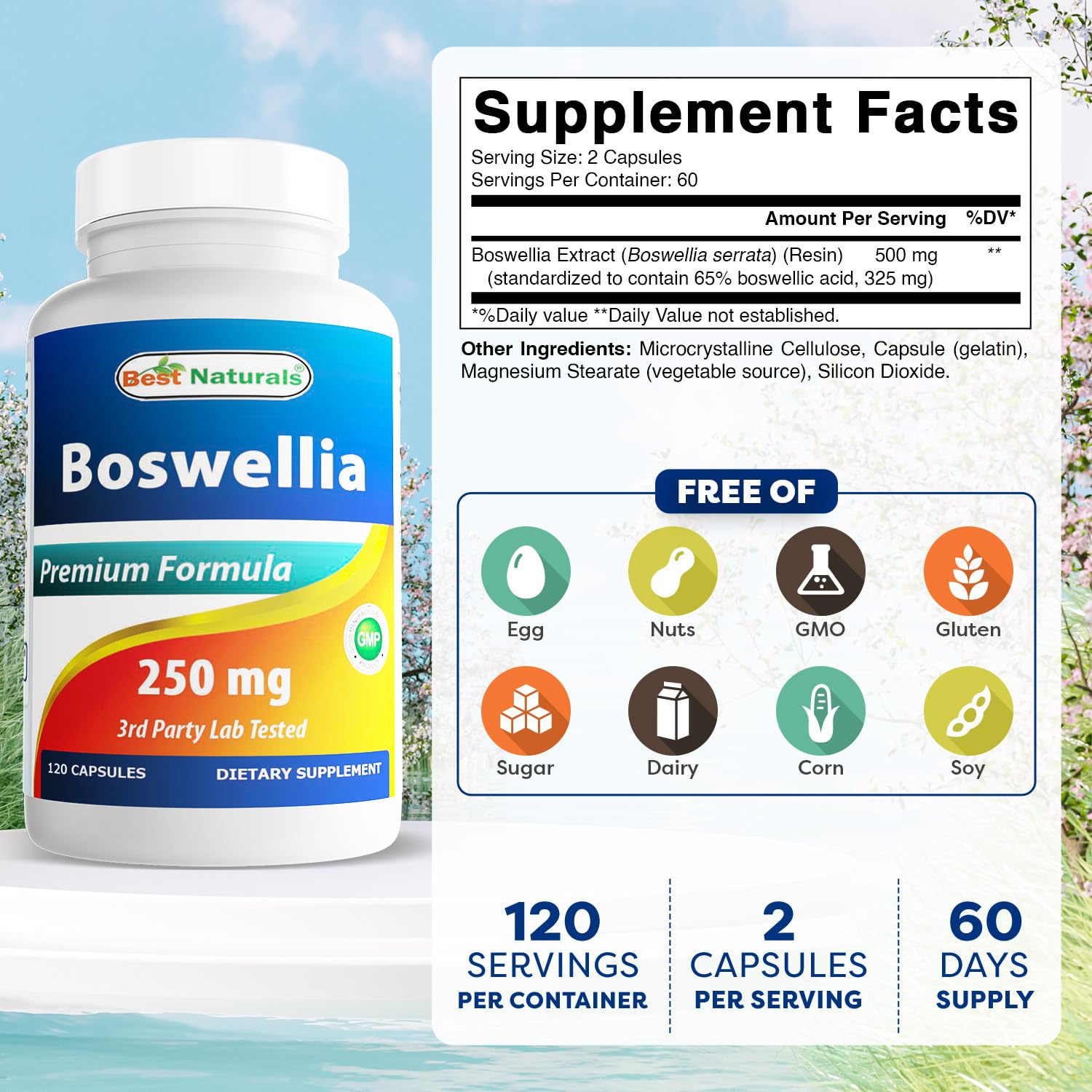 Best Naturals Boswellia Serrata Joint Health 250 mg 120 Capsules - Standardized to 65% Boswellic Acid (120 Count (Pack of 3)) Best Naturals Au supplements