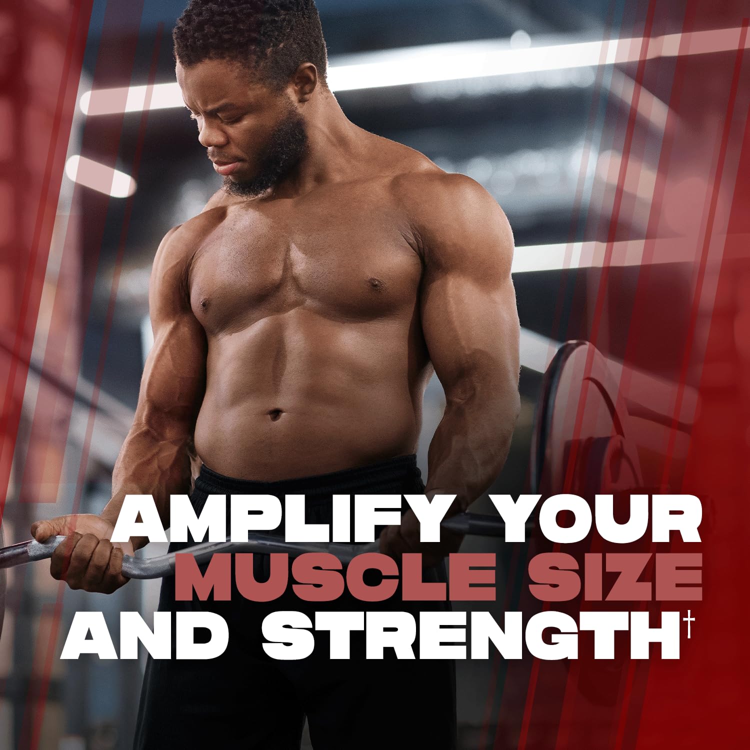 ALPHA LION Creatine Monohydrate Powder, 5000mg Per Serving (5g), Supports Muscle Strength, Power, Athletic Performance, Pure Creatina Monohydrata en Polvo Supplement (60 Servings, Unflavored) ALPHA LION Au supplements