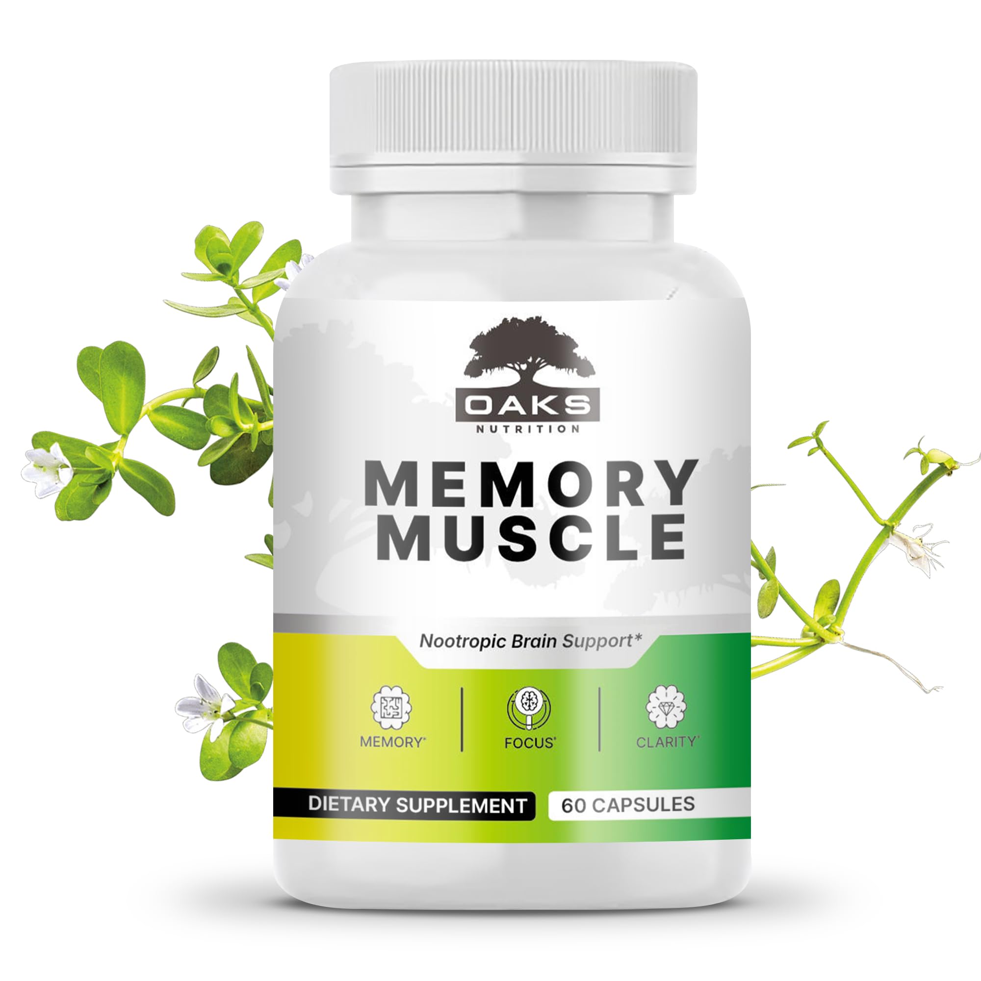 Memory Muscle – Advanced Nootropic Brain Supplement with Vitamin B12, Bacopa Monnieri & DMAE for Focus, Memory, Mental Clarity & Clean Energy – Premium Cognitive Support Formula Oaks Nutrition Au supplements