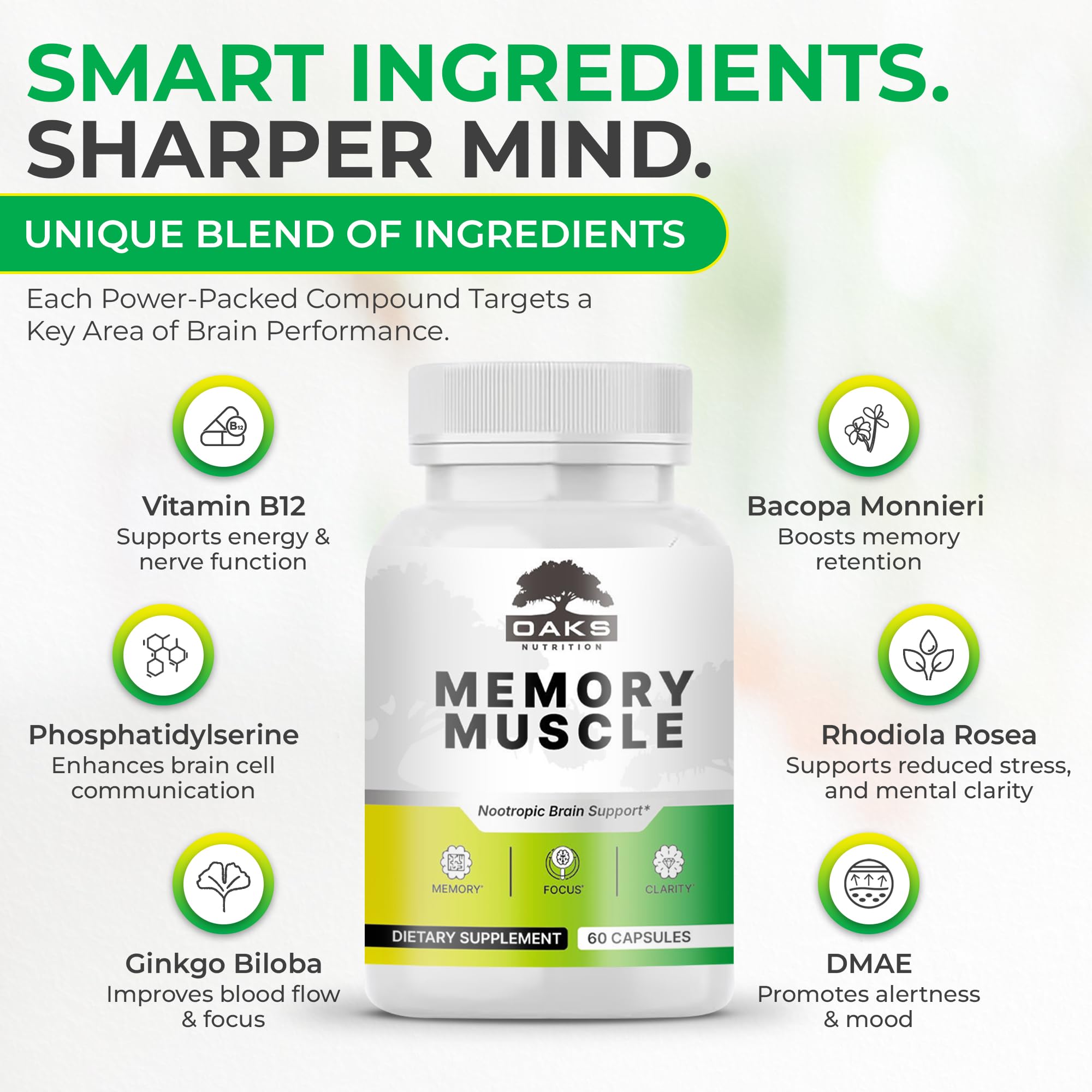 Memory Muscle – Advanced Nootropic Brain Supplement with Vitamin B12, Bacopa Monnieri & DMAE for Focus, Memory, Mental Clarity & Clean Energy – Premium Cognitive Support Formula Oaks Nutrition Au supplements