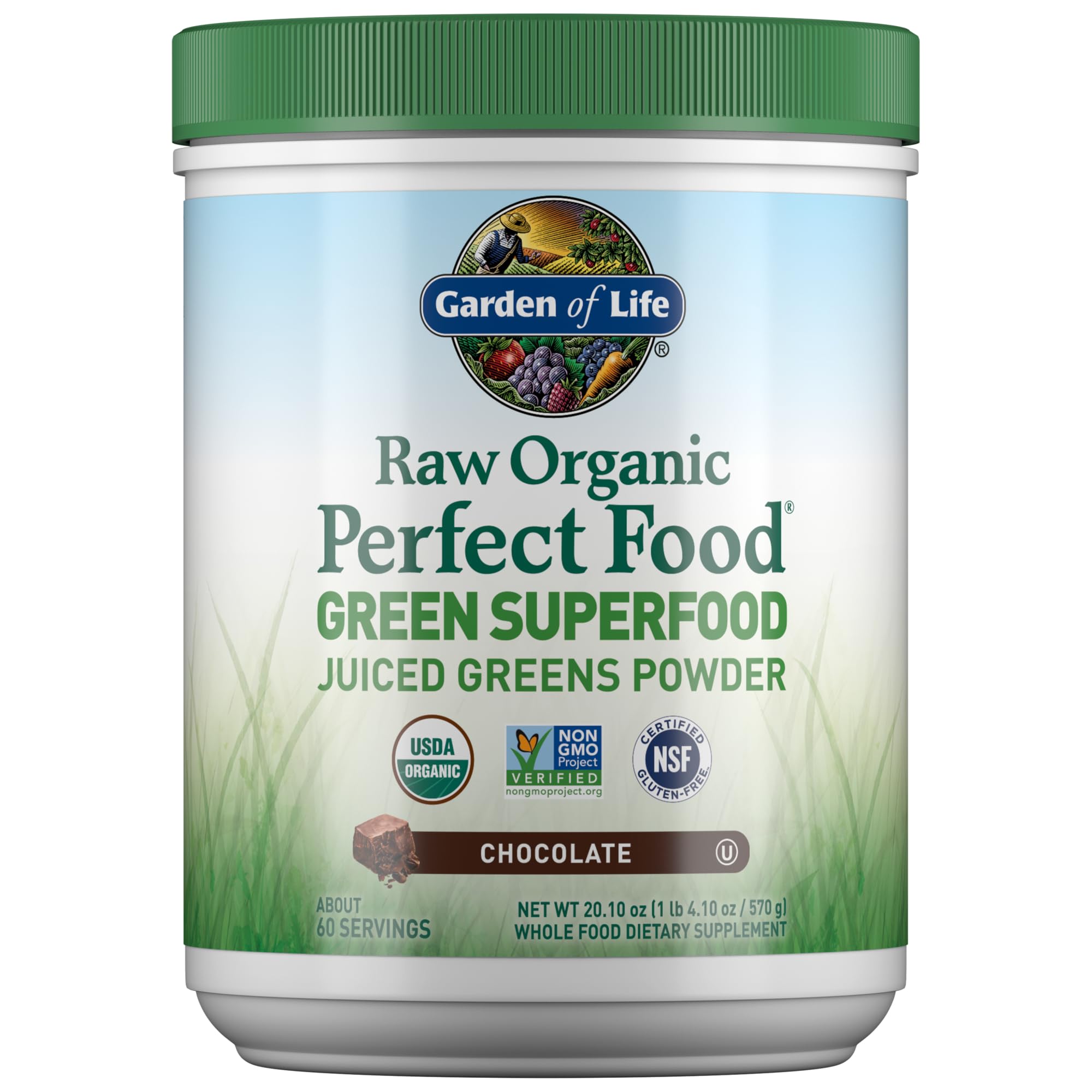 Garden of Life Raw Organic Perfect Food Green Superfood Juiced Greens Powder - Chocolate, 60 Servings, Non-GMO, Gluten Free, Vegan Whole Food Dietary Supplement Plus Probiotics, Enzymes Garden of Life Au supplements