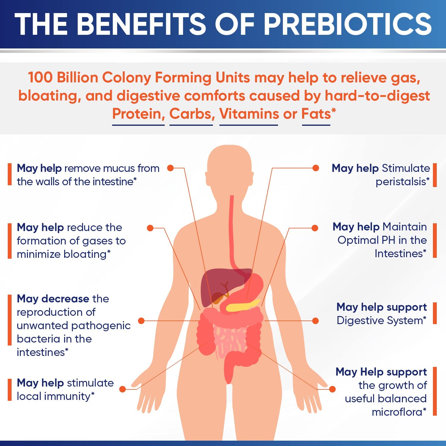 Wholesome Wellness Organic Raw Probiotics 100 Billion CFU, Dr Formulated for Women and Men, Complete Adult Supplement with Prebiotics and Digestive Enzymes; 30 Capsules, Shelf Stable Wholesome Wellness Au supplements
