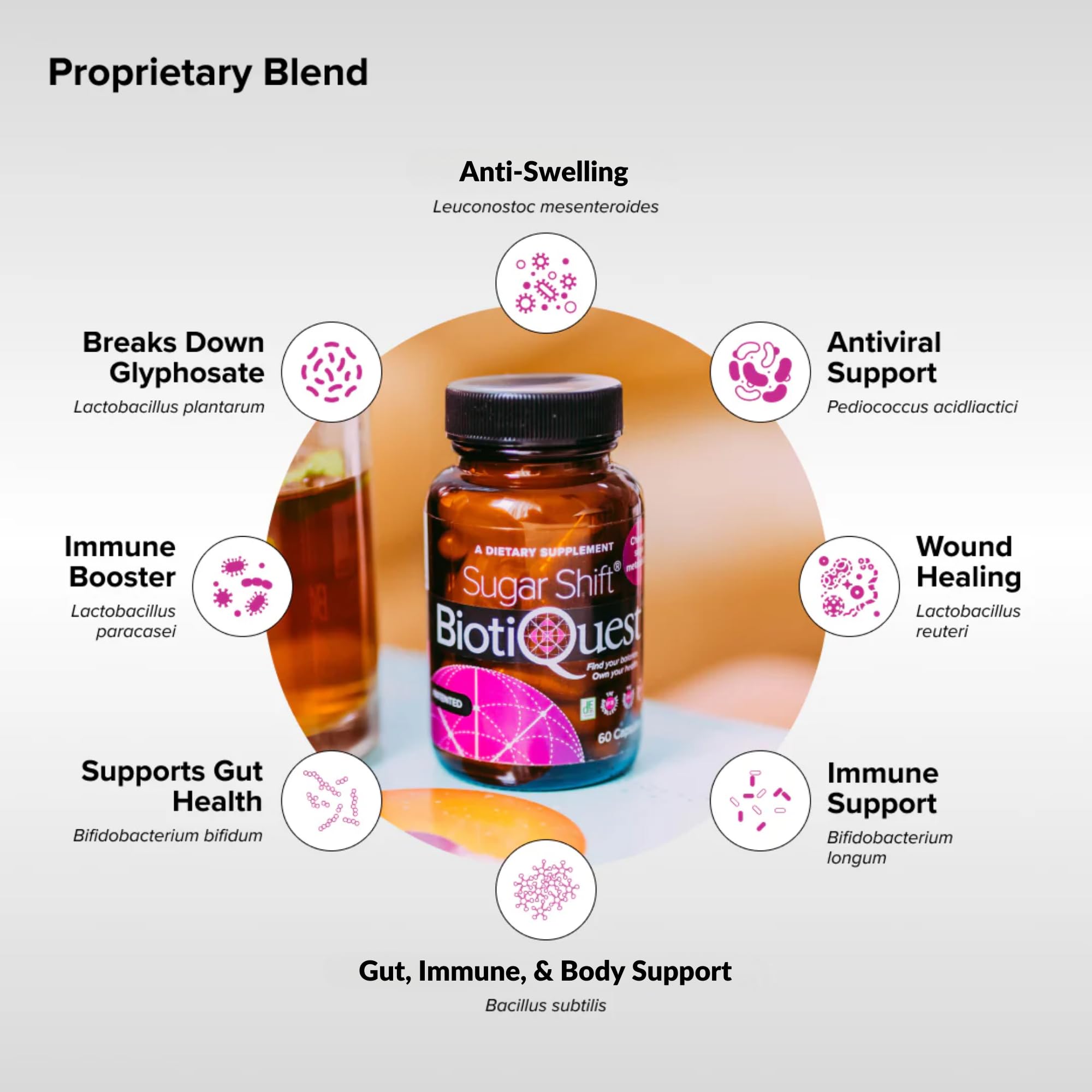 BiotiQuest Sugar Shift Probiotic | Helps Decrease Sugar & Carb Cravings and Supports Digestive Balance | 22 Billion CFU | Non-GMO, Gluten-Free, & Vegan | 60 Servings BiotiQuest Au supplements