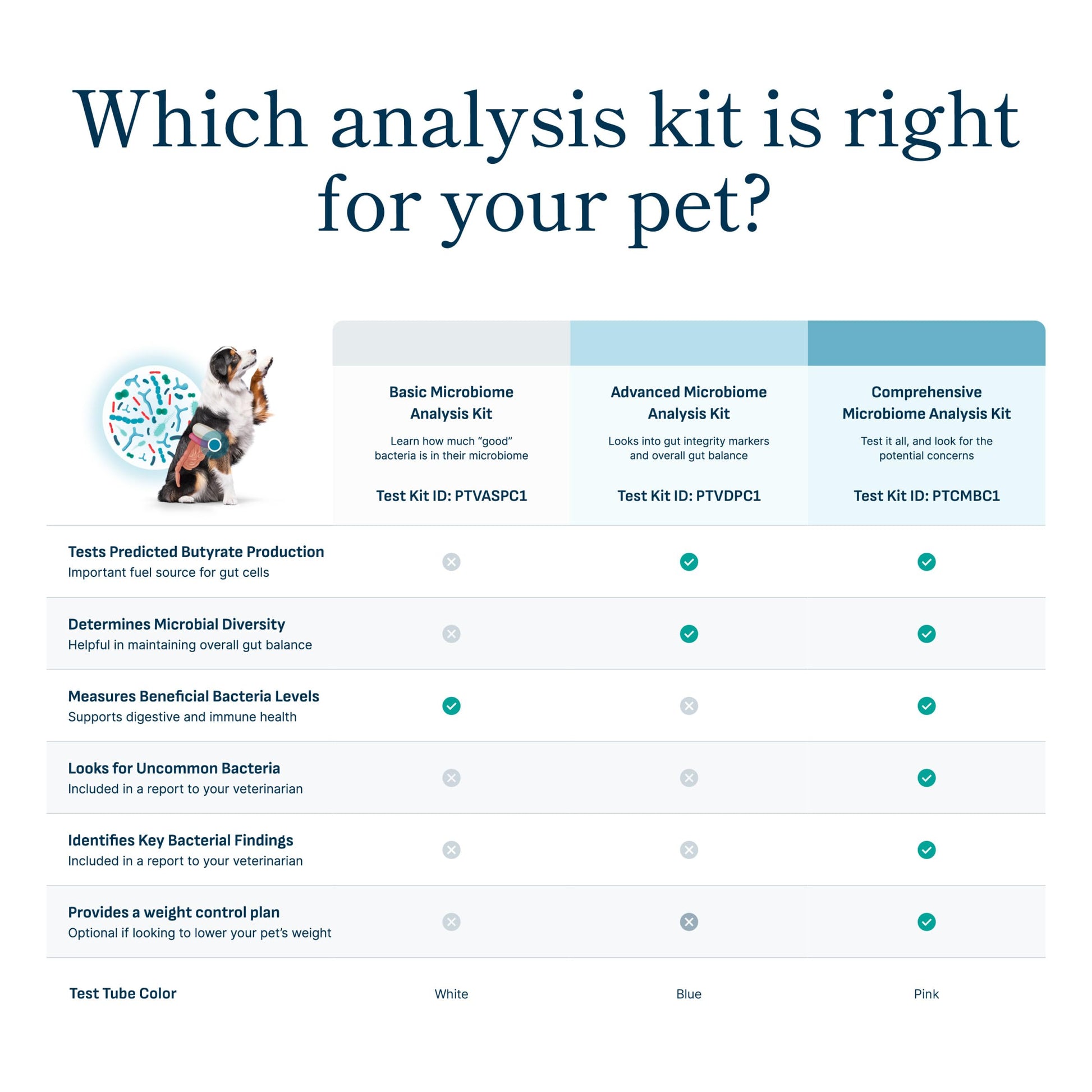 Petivity Microbiome Analysis Kit — Basic for Cats and Dogs, Powered by Purina - 4.8 oz. Box petivity Au supplements