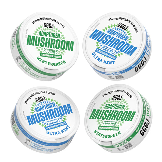 Adaptogen Mushroom Nootropic Pouches (4 Pack Bundle) - 250mg Mushroom Blend + 165mg Energy Blend, Nicotine Free & Caffeine Free, Ultra Pouch with Lion's Mane, Cordyceps, Reishi, Alpha-GPC, L-Theanine GGGJAu supplements