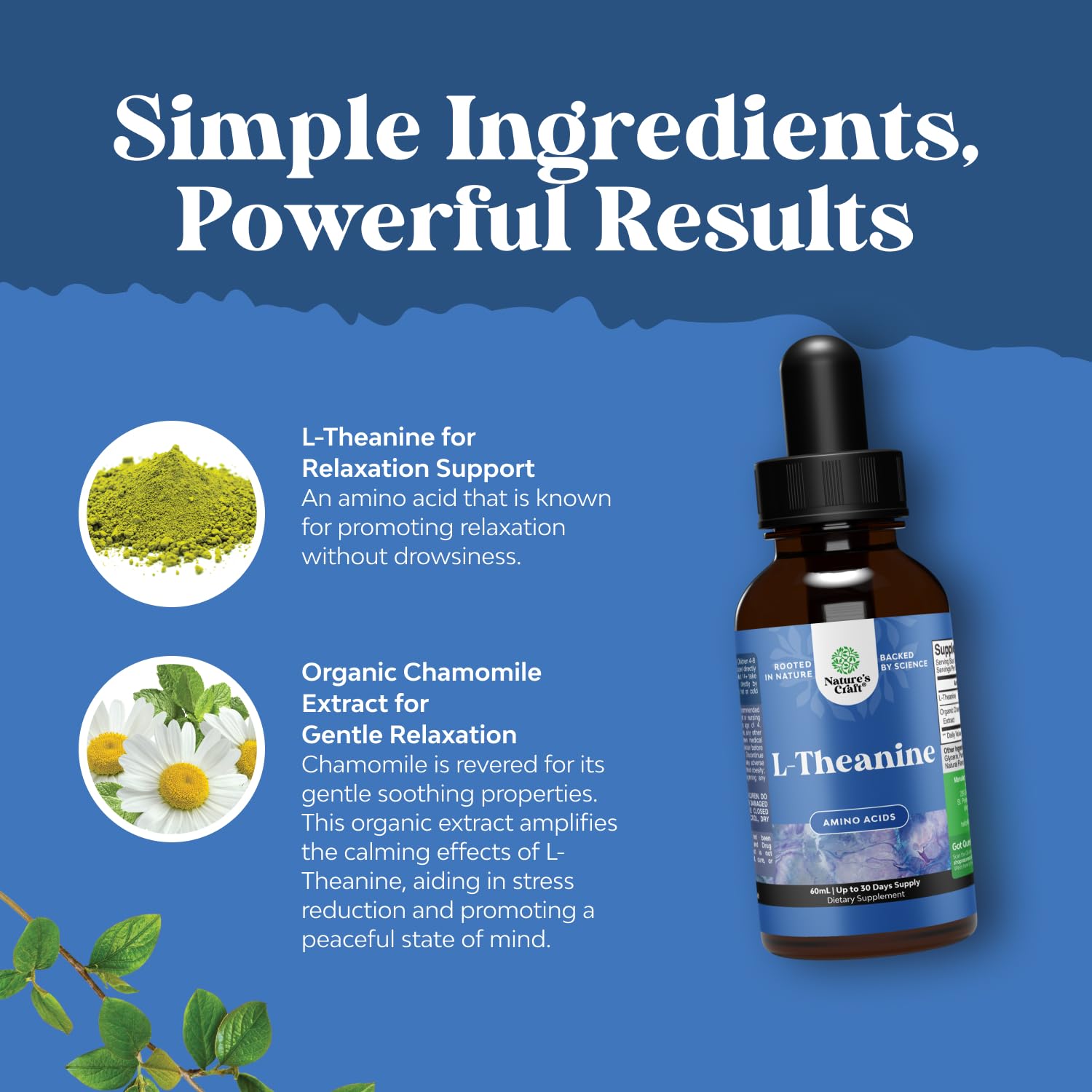 High Absorption L-Theanine Liquid Drops - Nootropic Focus Supplement with L Theanine 200mg Per Serving and Chamomile Extract Supplement for Adults and Kids Relaxation and Focus - 2 Fl Oz Natures Craft Au supplements