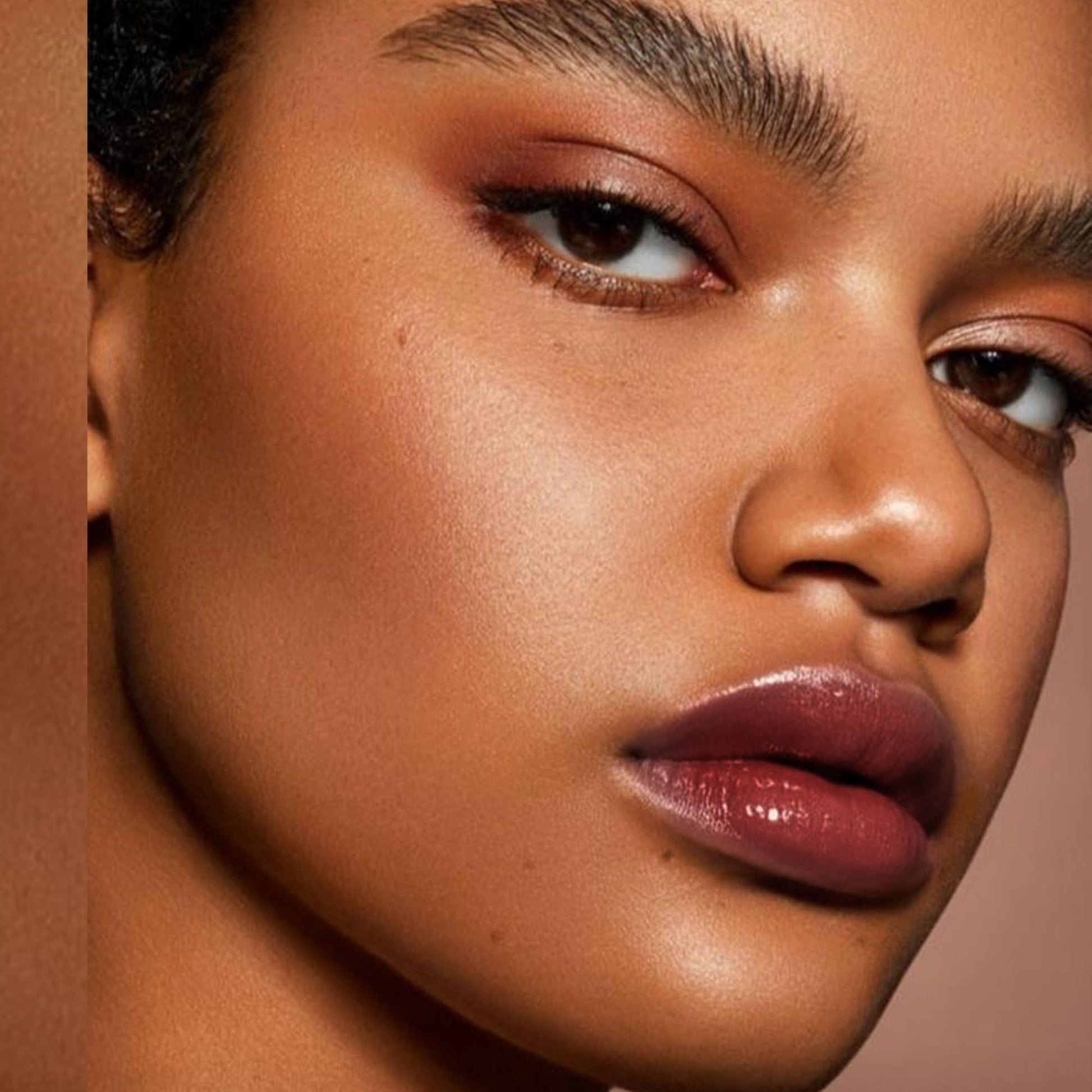 Depuplum Black Berry Lipstick for Women Hydrate Glossy Lipstick Moisture Lip Gloss Sheer-Medium Coverage Long Lasting Lipsticks for Dry Lips (DM65 Berry) Depuplum Au supplements