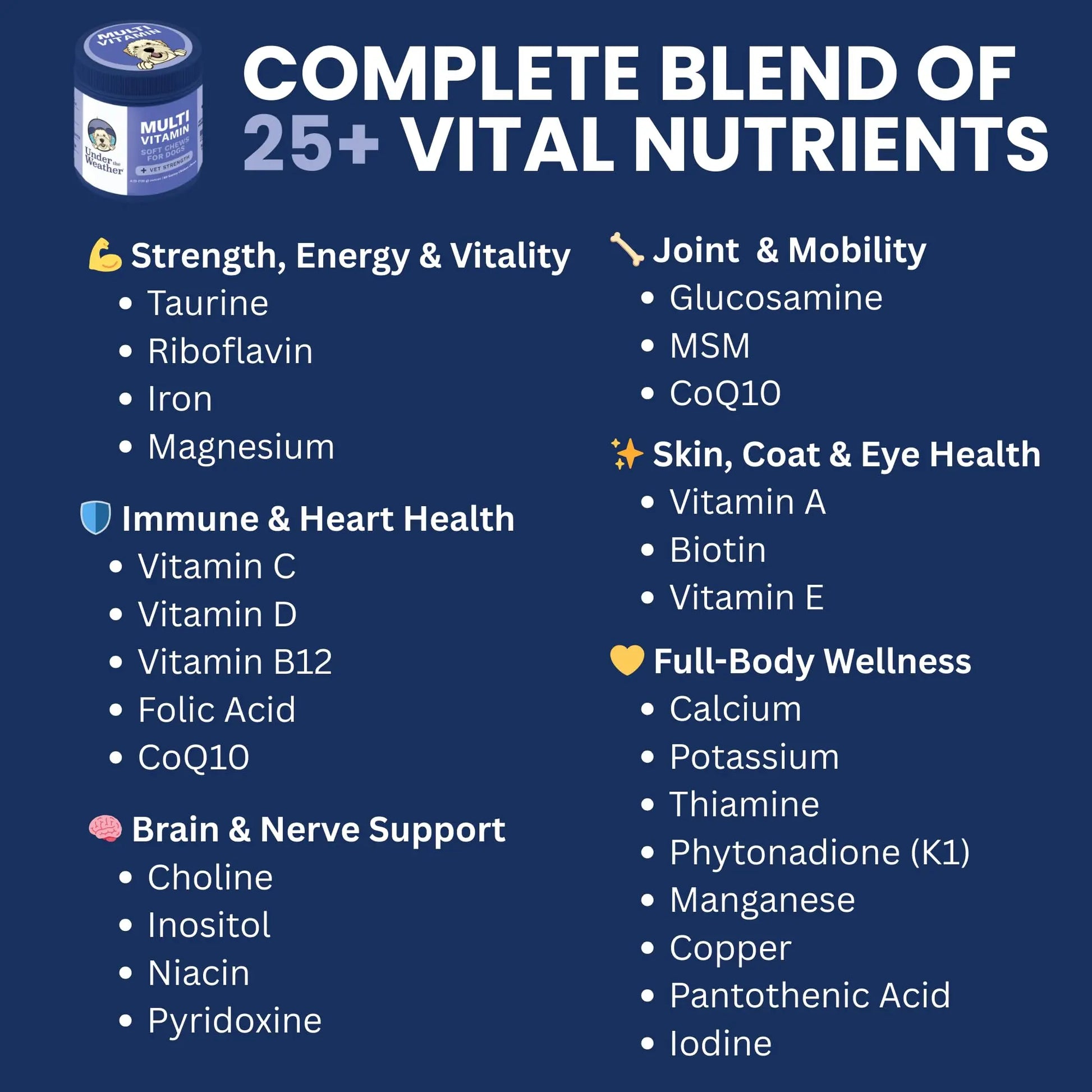 Under the Weather Multivitamin for Dogs | Vet Formulated Daily Canine Health Supplies for Immunity, Skin, Coat & Joint Support | All-in-One Multivitamin for Dogs of All Breeds & Sizes | 60 Count Under the Weather Au supplements