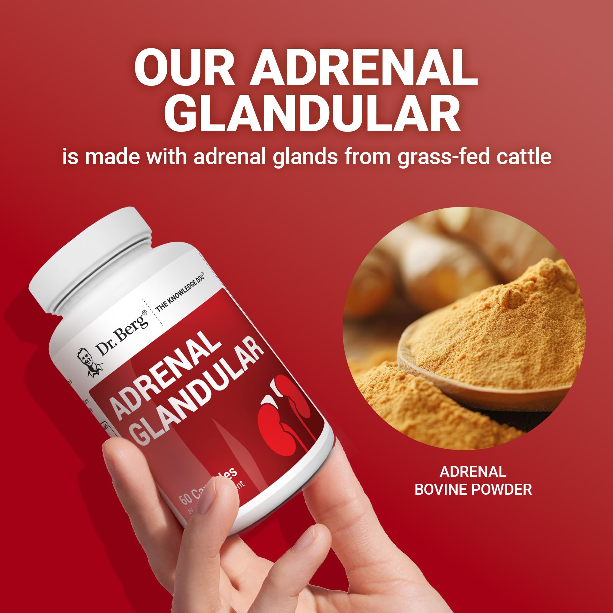 Dr. Berg Adrenal Glandular - Hormone Balance Formula That Supports Healthy Adrenal Function - Adrenal Support Supplement - 60 Capsules Dr. Berg Nutritionals Au supplements