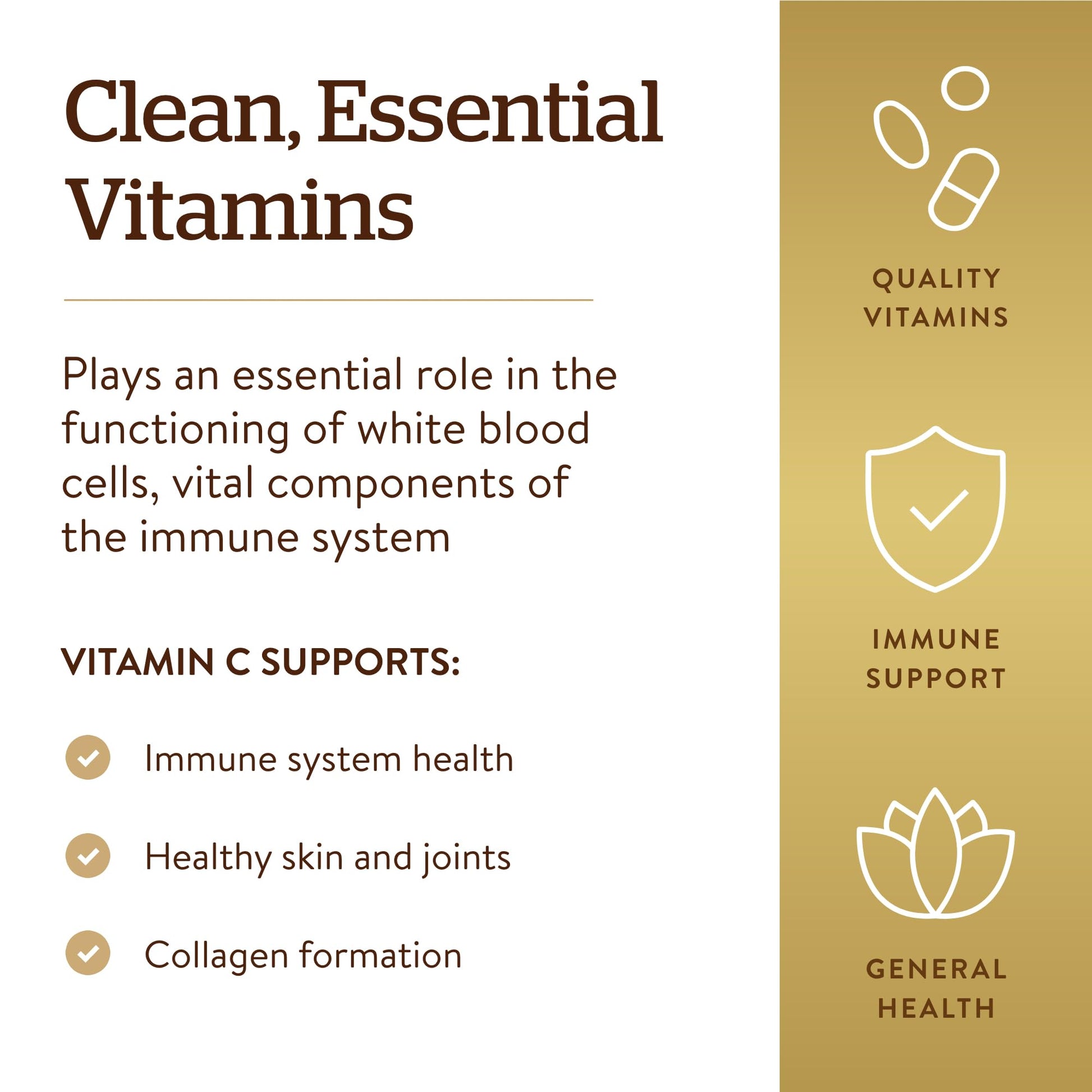 Solgar Vitamin C 1000mg - Healthy Immune System - Helps Fight Free Radicals - Vegan SOLGAR Au supplements