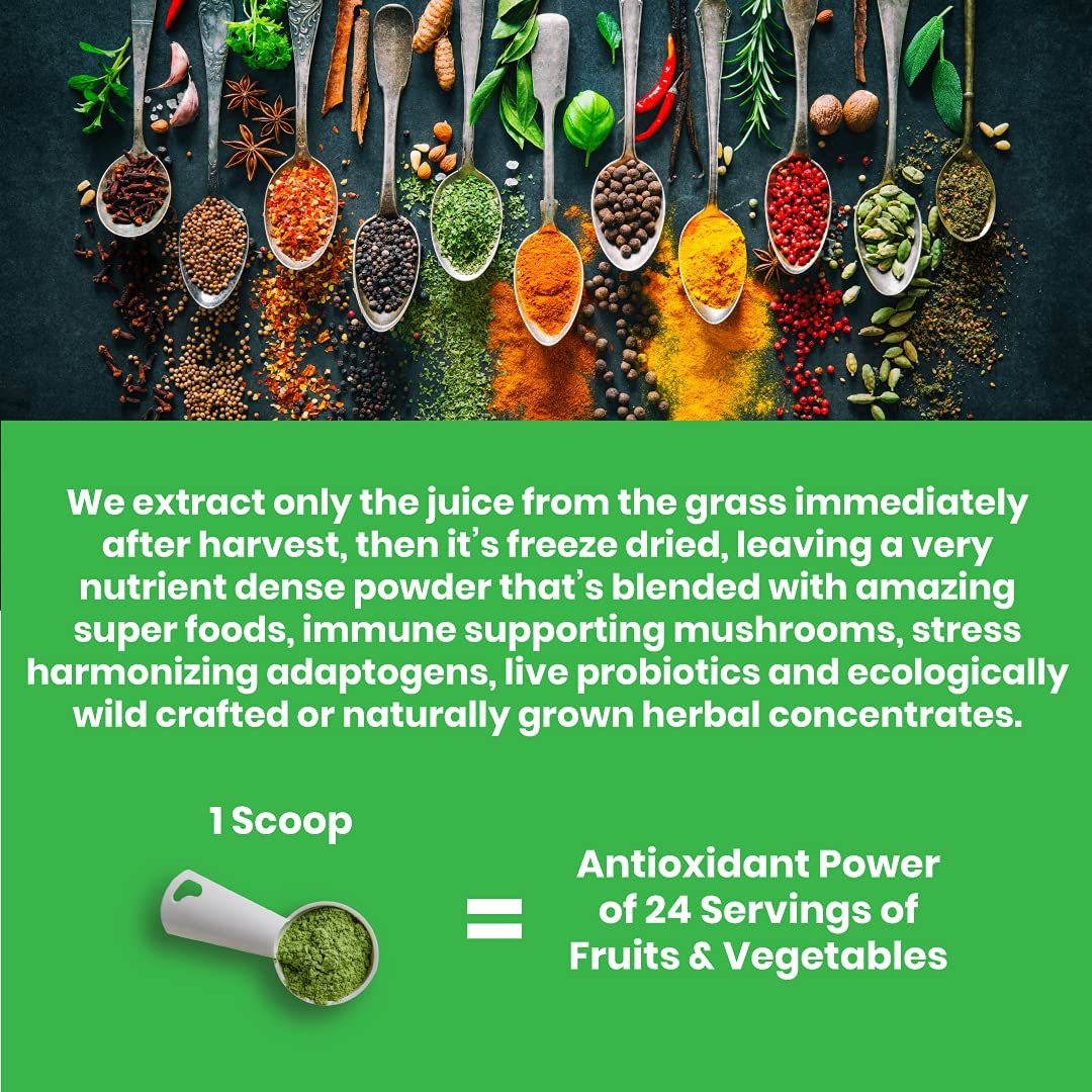 Paradise ORAC Energy Greens Powder Extract, Super Antioxidants, Probiotics for Gut Paradise Herbs Au supplements