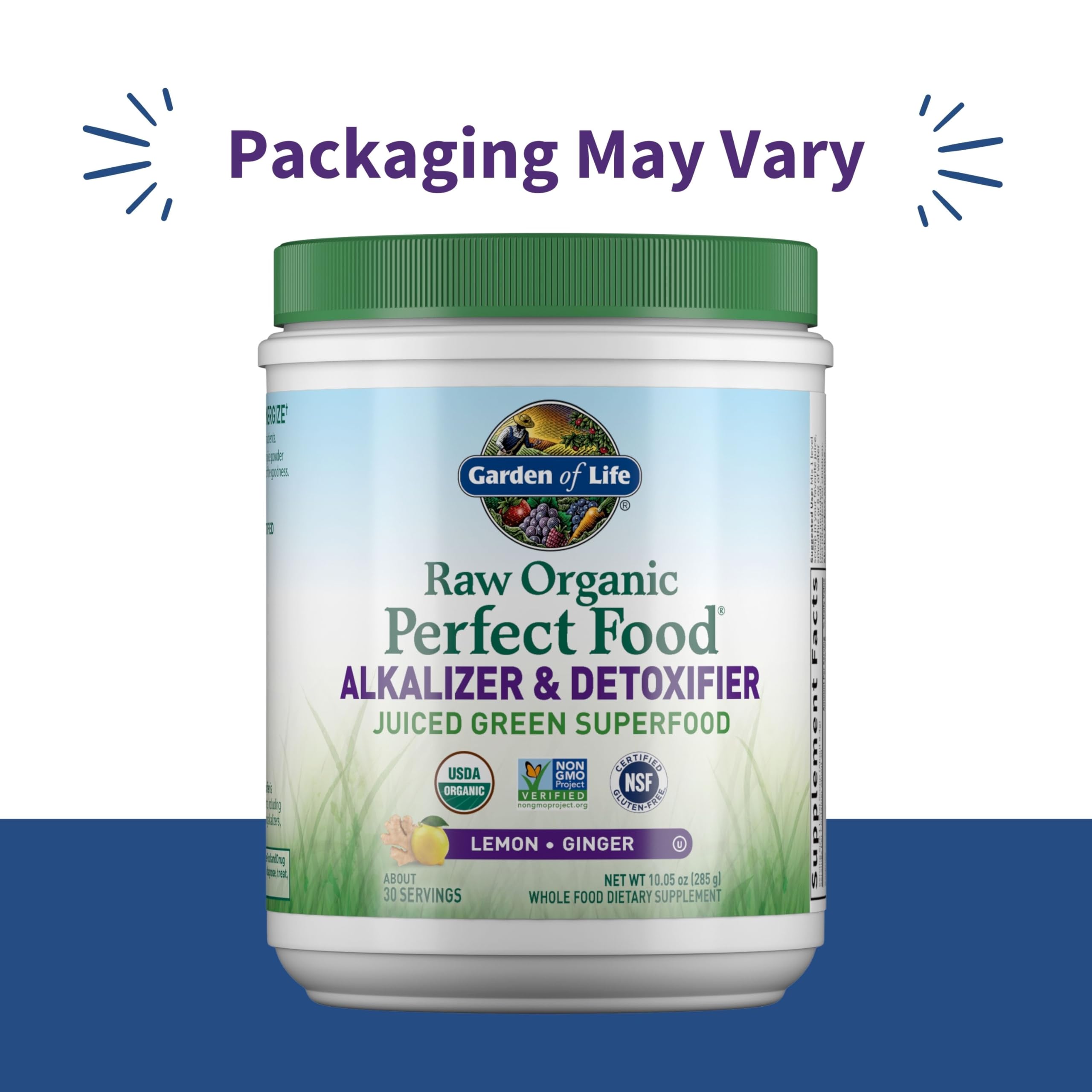 Garden of Life Raw Organic Perfect Food Alkalizer and Detoxifier, Lemon Ginger Flavored Superfood Powder Supplement, 30 Servings Garden of Life Au supplements