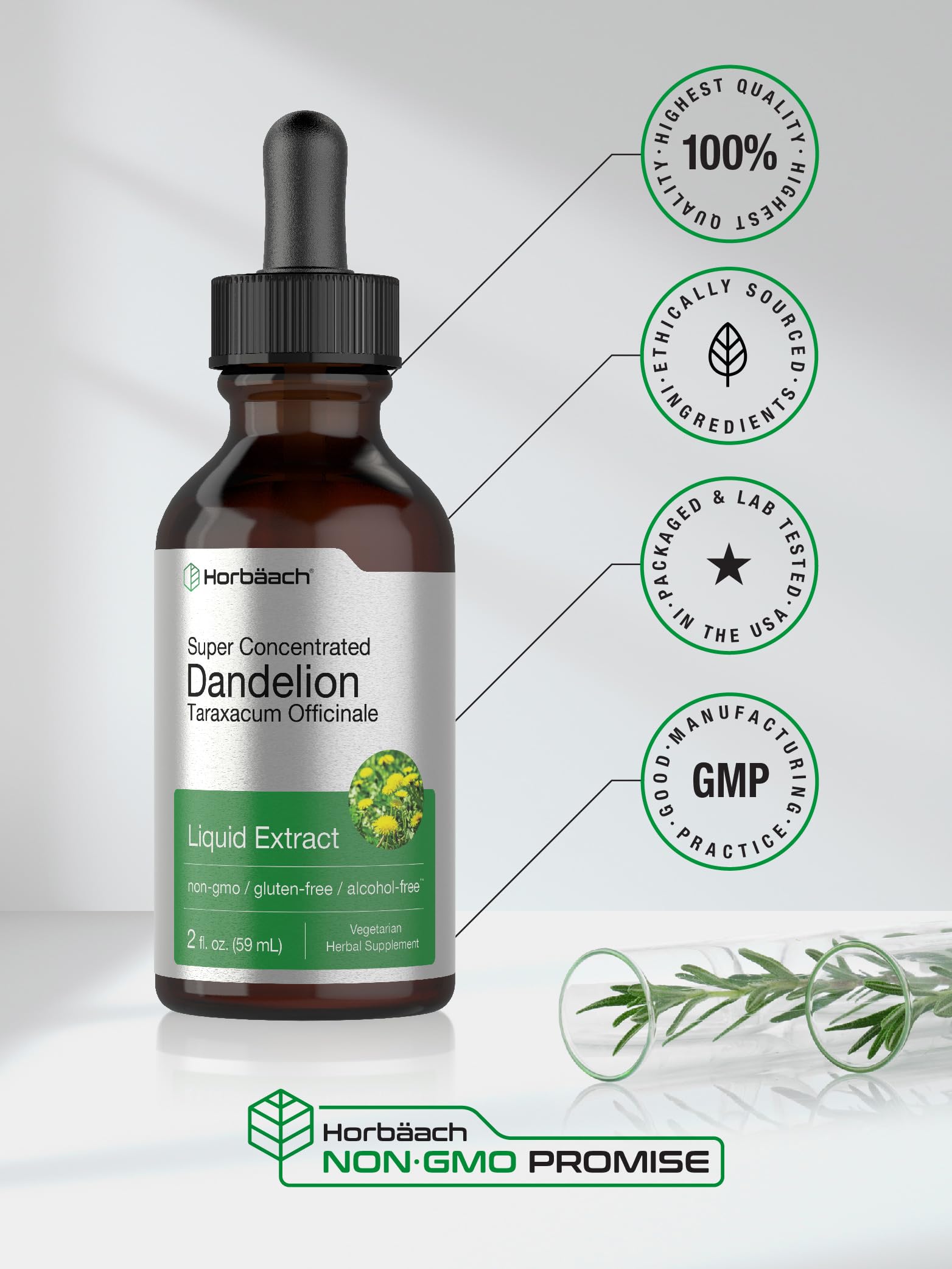 Dandelion Root Extract | 2 fl oz | Super Concentrated | Alcohol Free Liquid Tincture Horbäach Au supplements