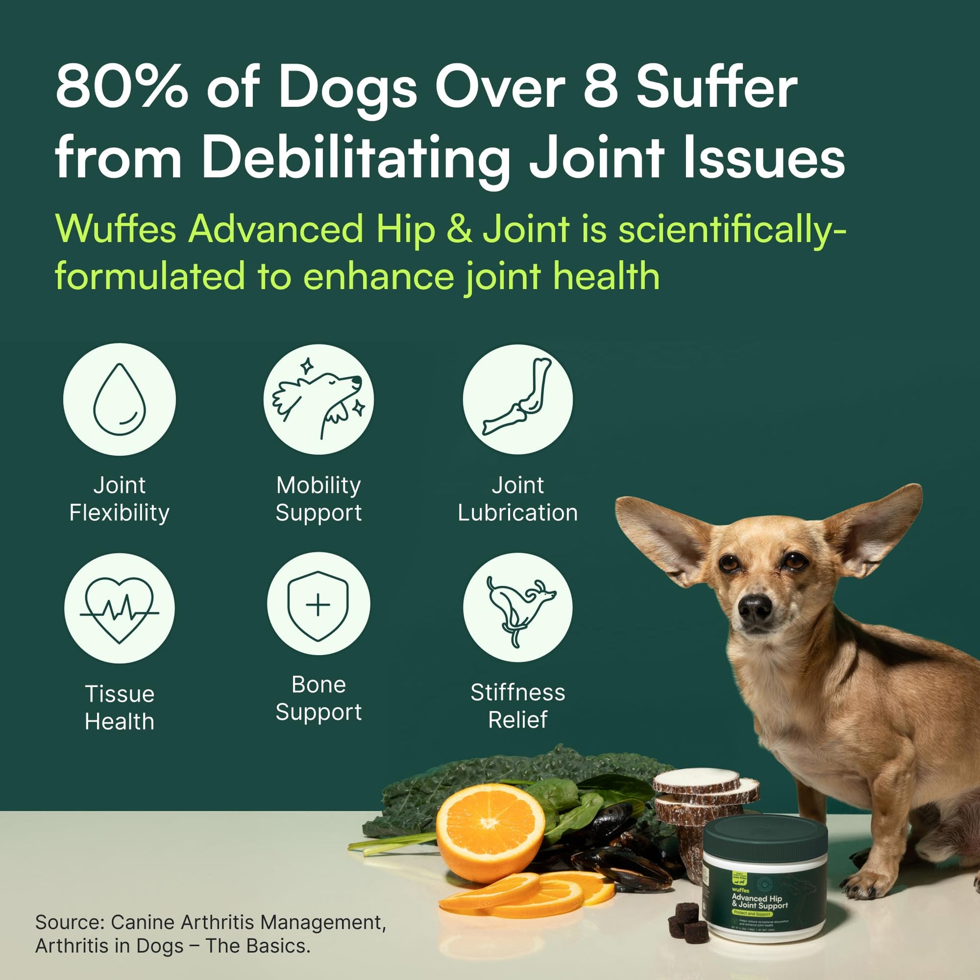 Wuffes Advanced Dog Hip and Joint Supplement with Glucosamine, Chondroitin, Omega 3, MSM, and Green Lipped Mussel, 60 Pork Flavored Chews for Small and Medium Dog Breeds Wuffes Au supplements