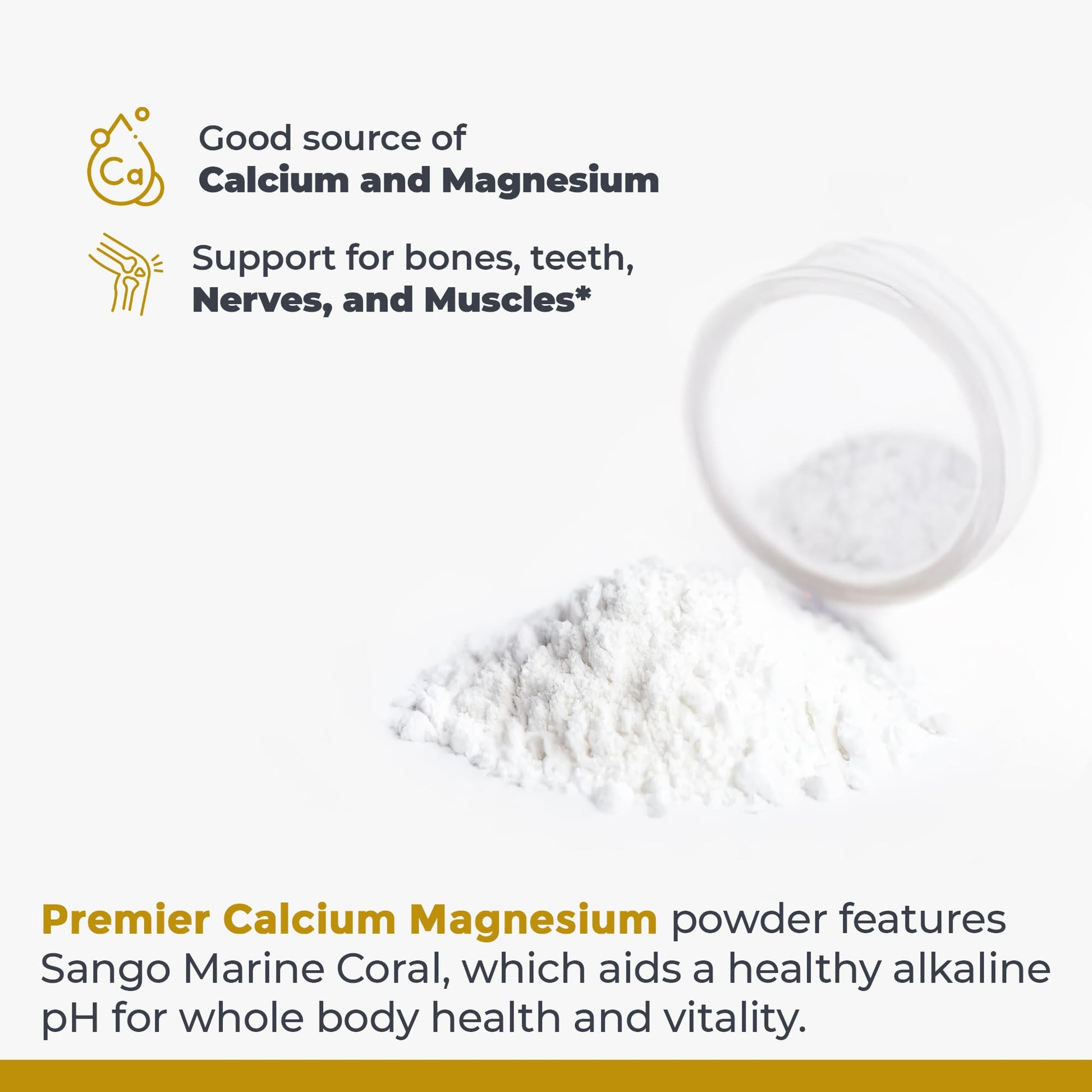 Premier Research Labs Calcium Magnesium Powder - Natural Coral Calcium Powder for Bone Health, Mix with Water for Alkaline PH Balance - 8 oz Premier Research Labs Au supplements