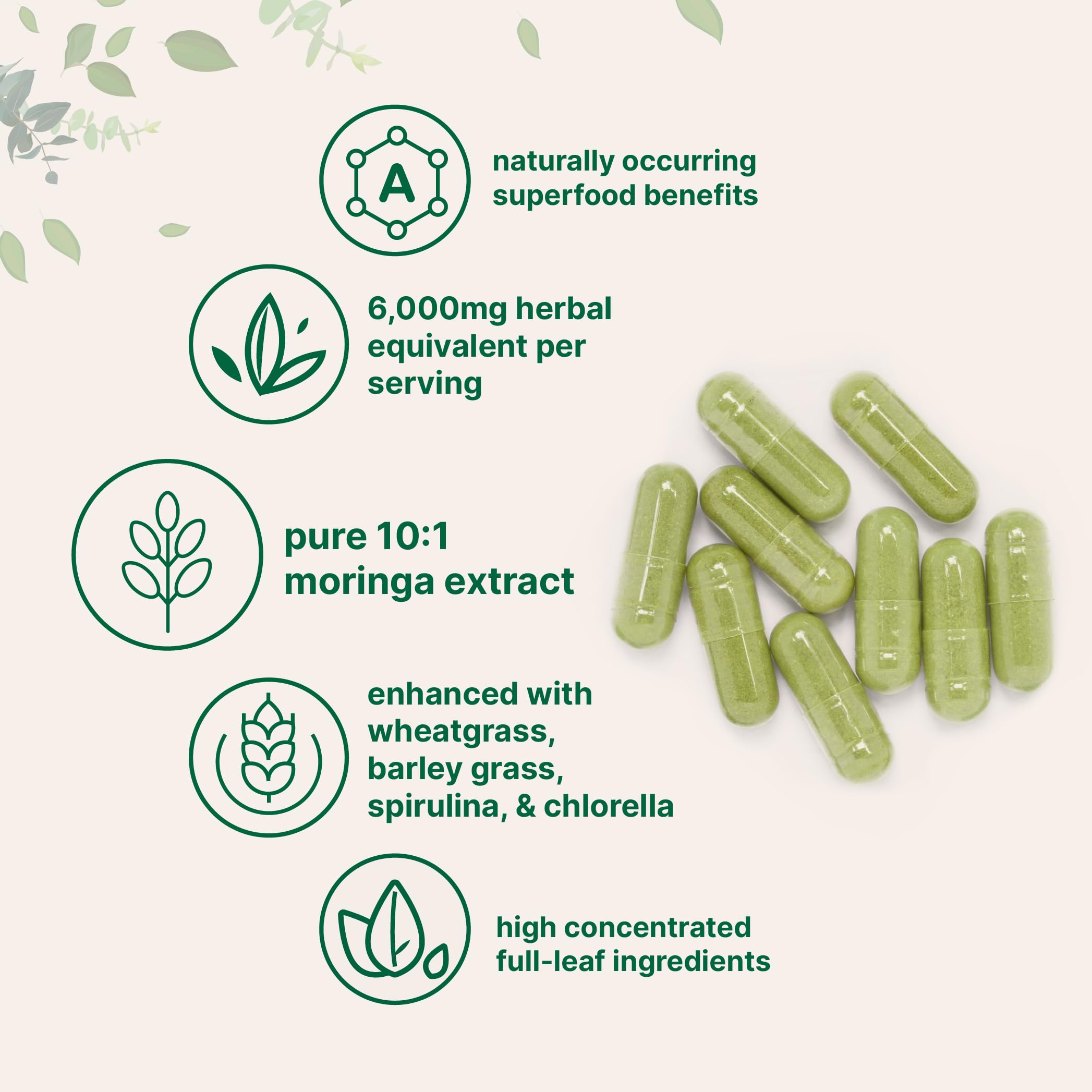 Micro Ingredients Moringa Oleifera | 300 Capsules with Supergreens Blend of Wheatgrass, Barley Grass, Spirulina, & Chlorella | Antioxidant Supplement, Energy, & Immune Support | Non-GMO Micro Ingredients Au supplements