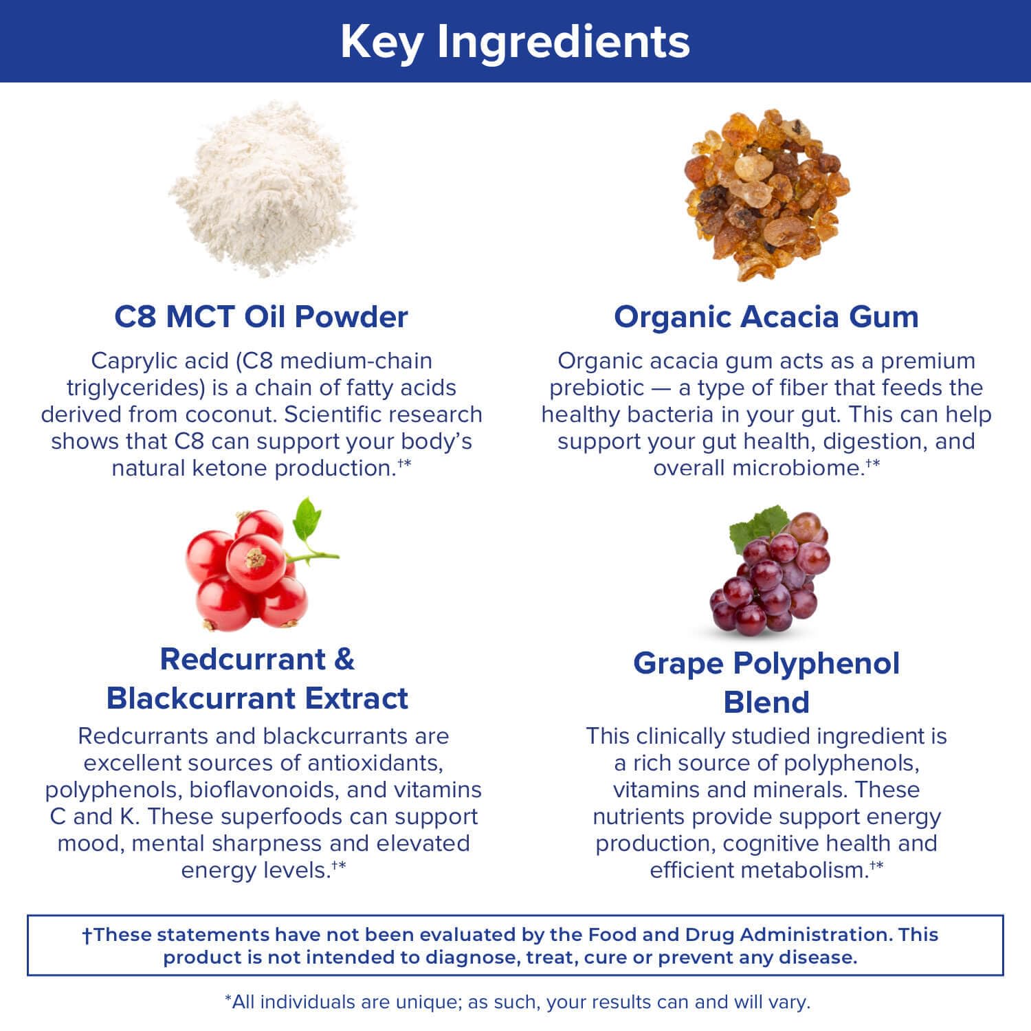 Gundry MD MCT Wellness Powder to Support Energy, Ketone Production and Brain Health Gundry MD Au supplements
