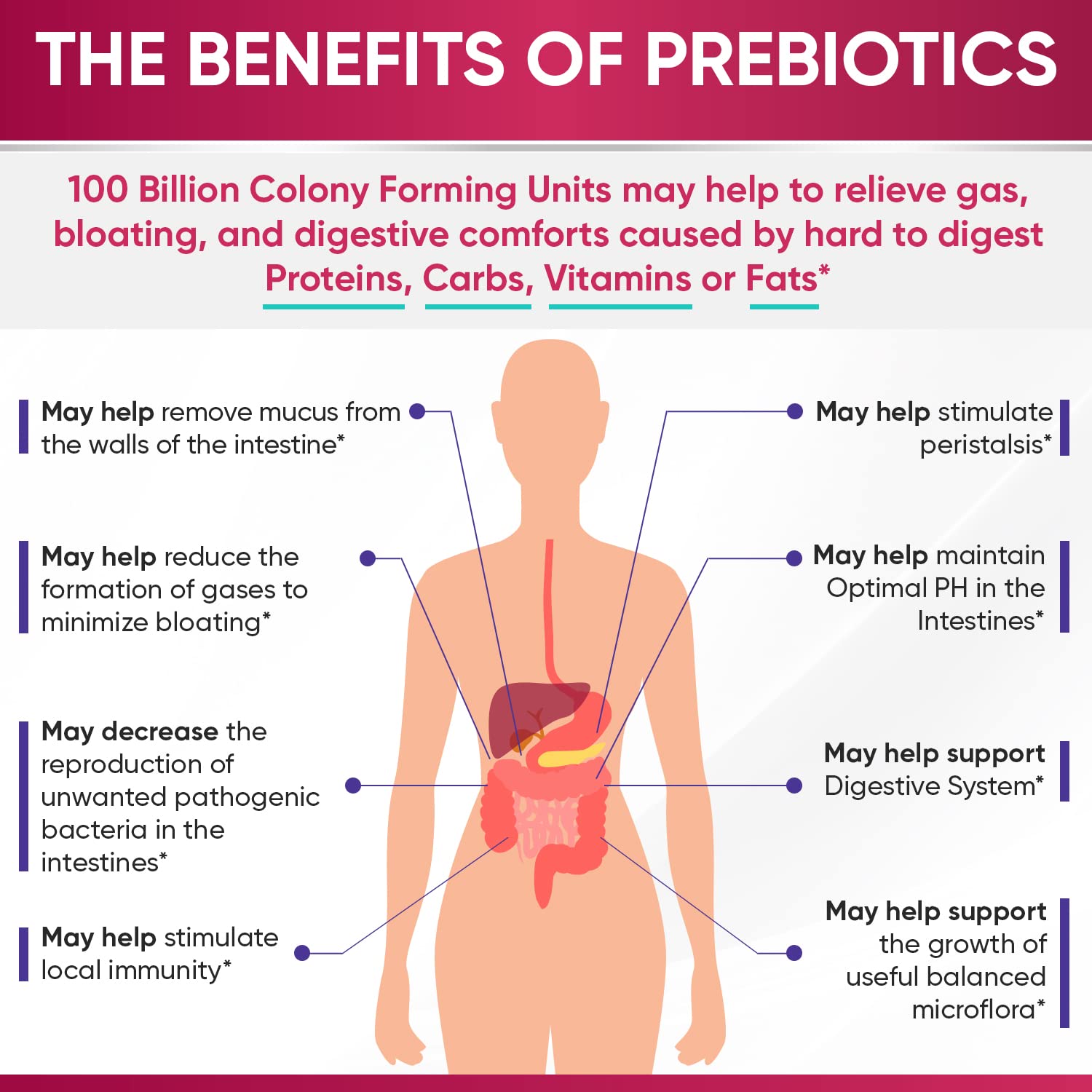 Wholesome Wellness Dr. Formulated Raw Probiotics for Women 100 Billion CFUs Capsules with Prebiotics, Digestive Enzymes, Approved for Adults, Shelf Stable Supplement Wholesome Wellness Au supplements