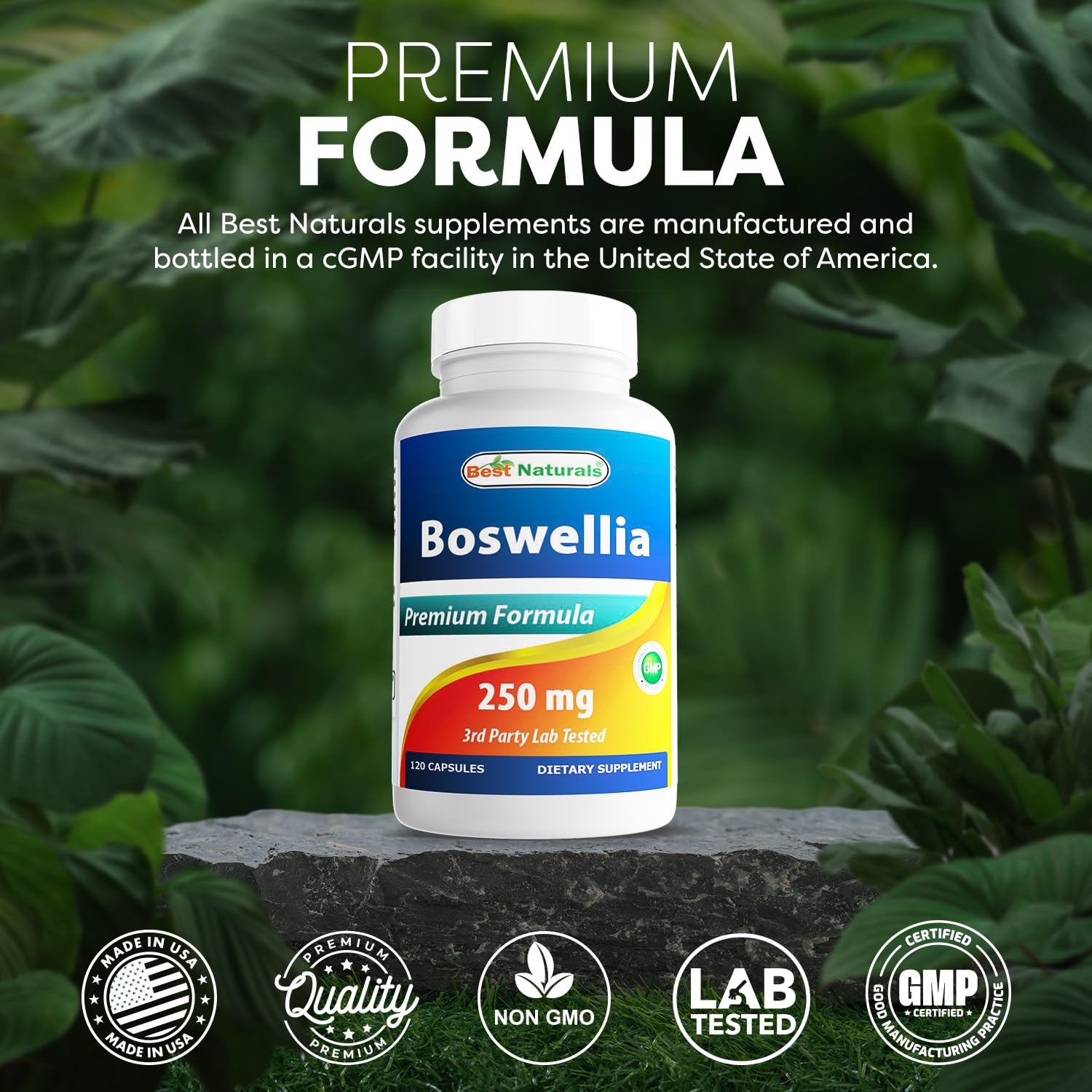 Best Naturals Boswellia Serrata Joint Health 250 mg 120 Capsules - Standardized to 65% Boswellic Acid (120 Count (Pack of 3)) Best Naturals Au supplements