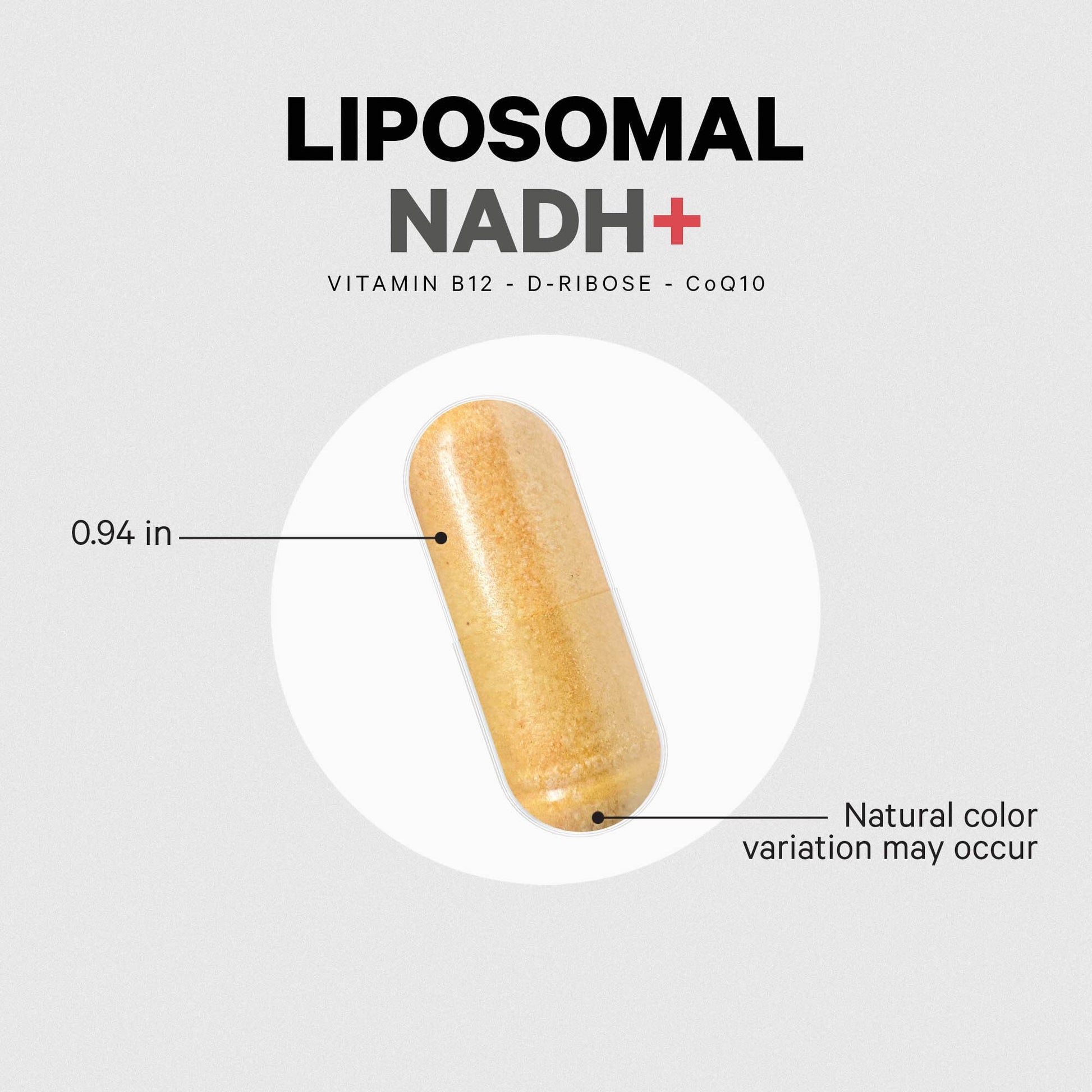 Codeage Liposomal NADH+ Supplement - CoQ10 - Vitamin B12 - D-Ribose Bioenergy Codeage Au supplements