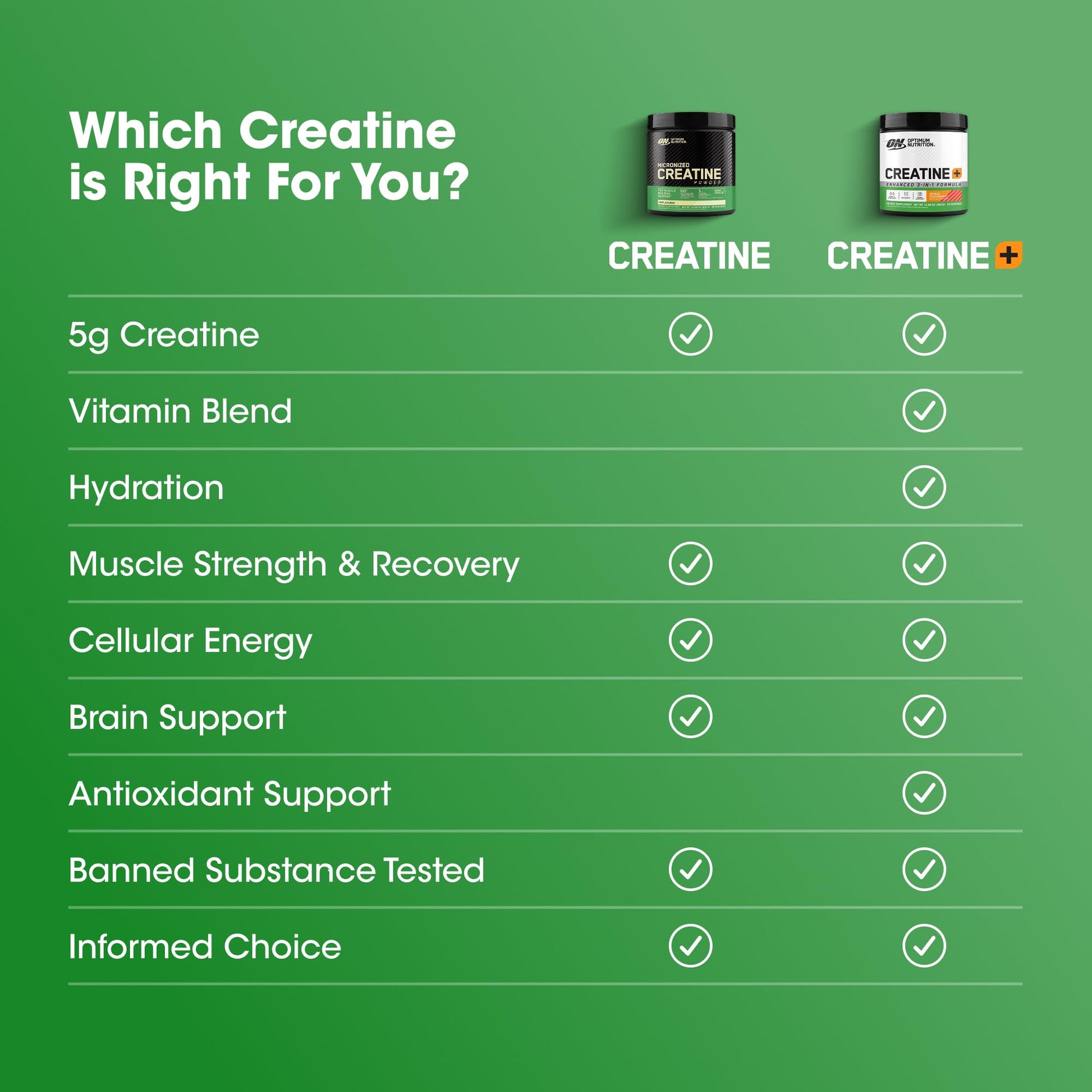 Optimum Nutrition Creatine Monohydrate Plus Powder, Orange Passionfruit Flavored Creatine Performance Blend With Electrolytes for Hydration, Added Vitamins, 40 Servings, 360 Grams (Packaging May Vary) Optimum Nutrition Au supplements
