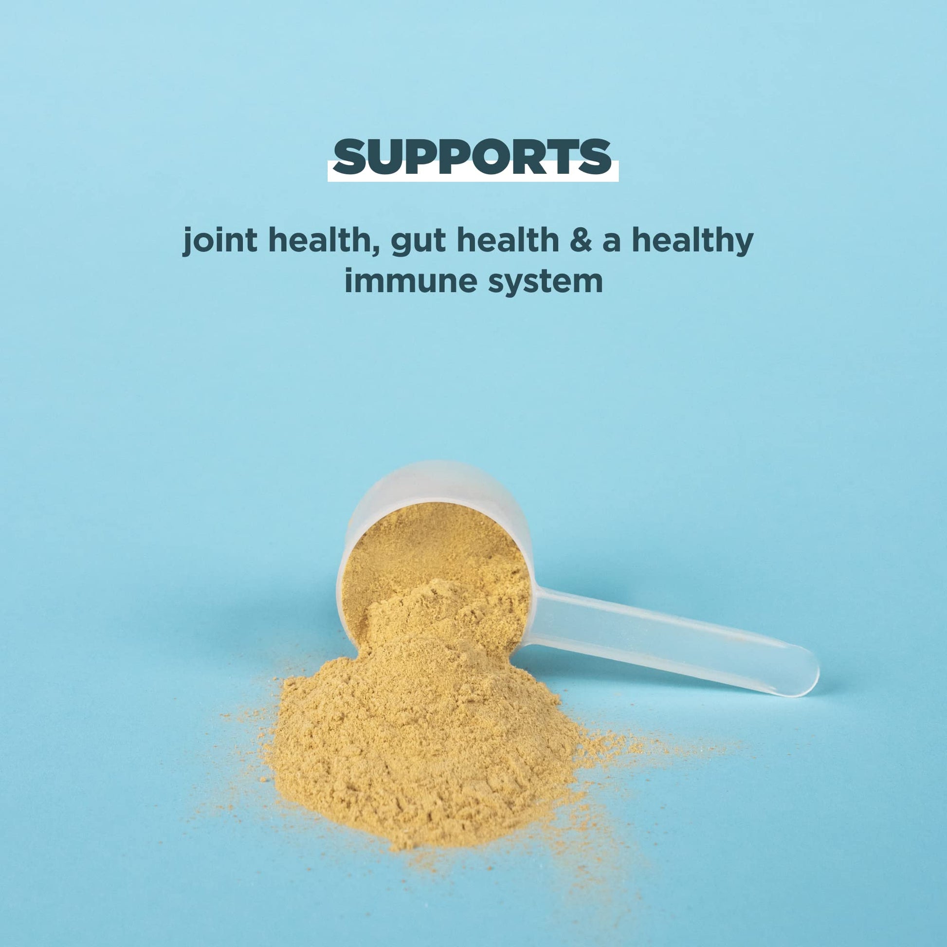 Ancient Nutrition Bone Broth Protein Powder, Pure Flavor, 20 Servings Size Ancient Nutrition Au supplements