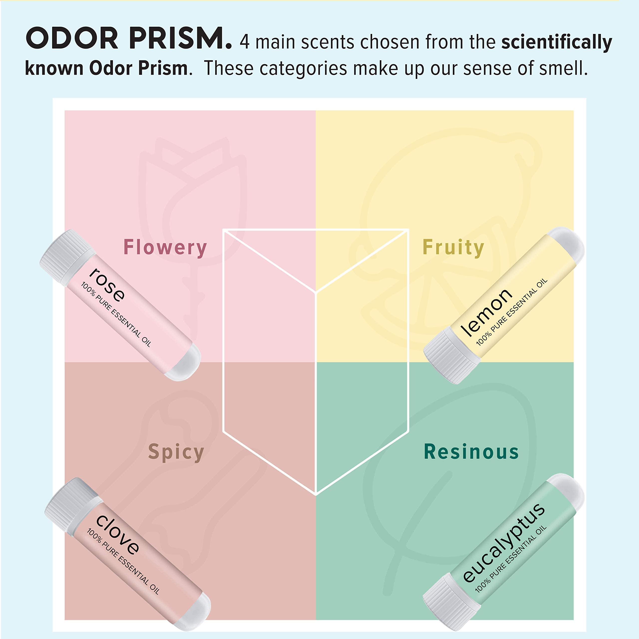 MOXĒ Smell Training Kit, Made in USA, 4 Essential Oils, Olfactory Regeneration, Helps Restore Sense MOXE Au supplements