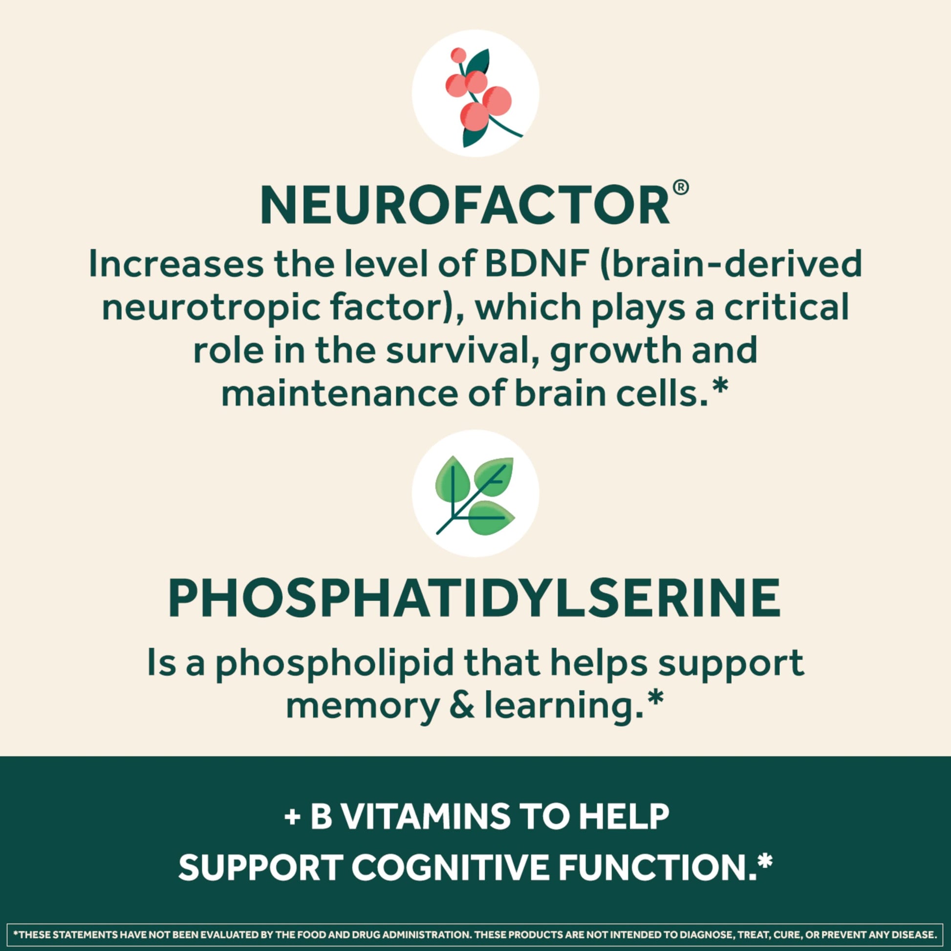 NEURIVA Plus Brain Supplement for Memory and Focus Clinically Tested Nootropics for Concentration for Mental Clarity, Cognitive Enhancement Vitamins B6, B12, Phosphatidylserine 30 Capsules NEURIVA Au supplements