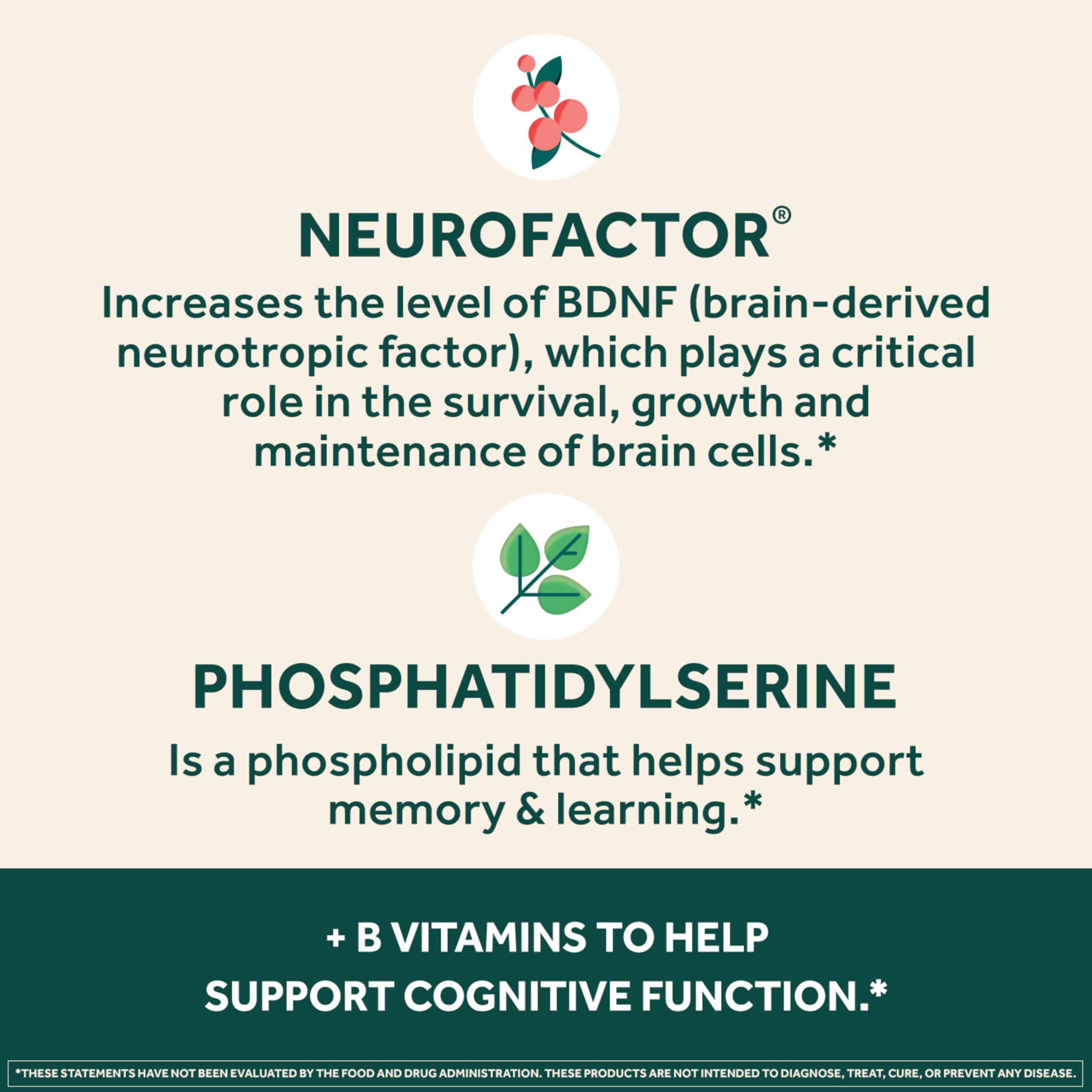 NEURIVA Plus Brain Supplement for Memory and Focus Clinically Tested Nootropics for Concentration for Mental Clarity, Cognitive Enhancement Vitamins B6, B12, Phosphatidylserine 30 Capsules NEURIVA Au supplements