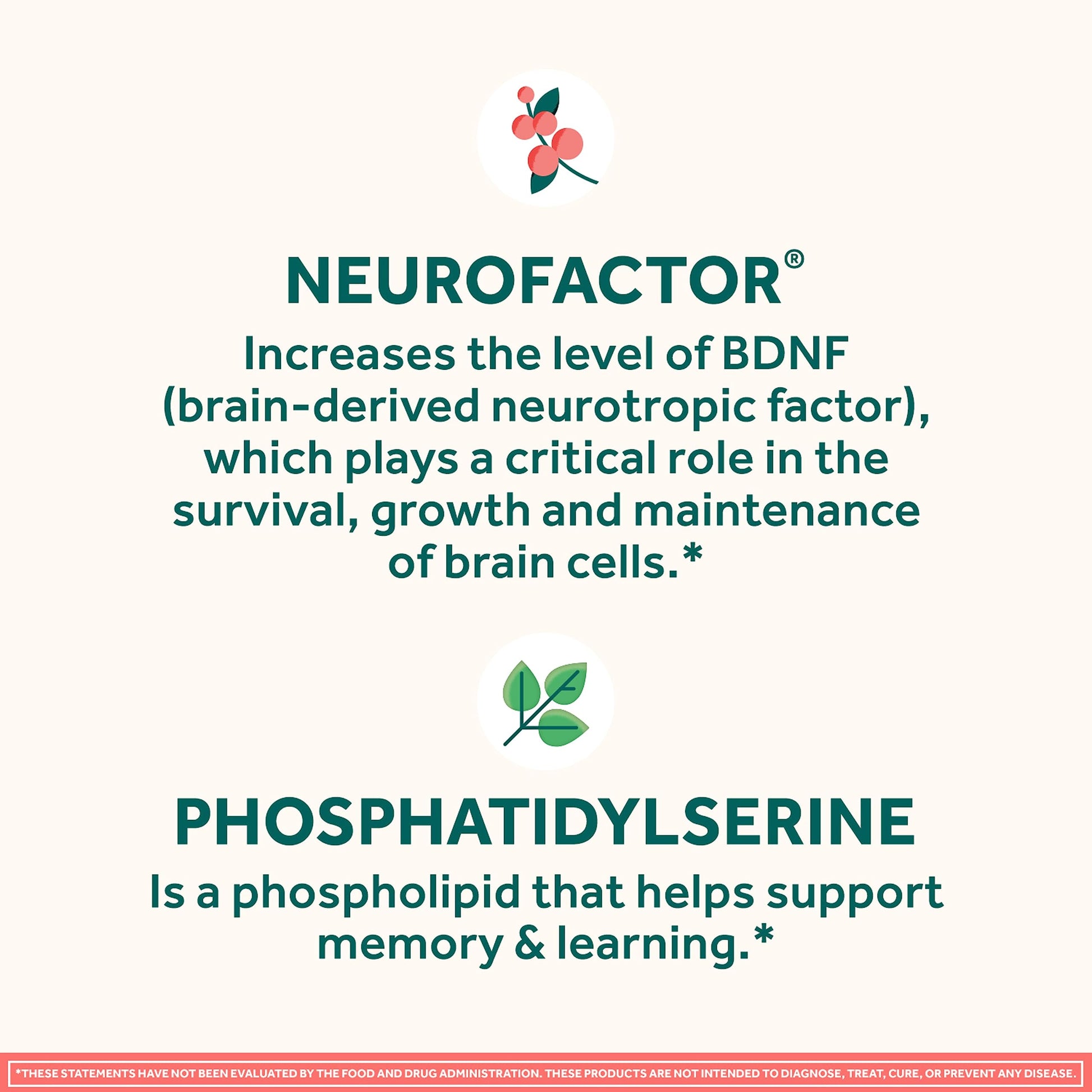 NEURIVA Original Decaffeinated Clinically Tested Nootropic Brain Supplement for Memory, Focus & Concentration, NeuroFactor & Phosphatidylserine, 28ct Capsules NEURIVA Au supplements