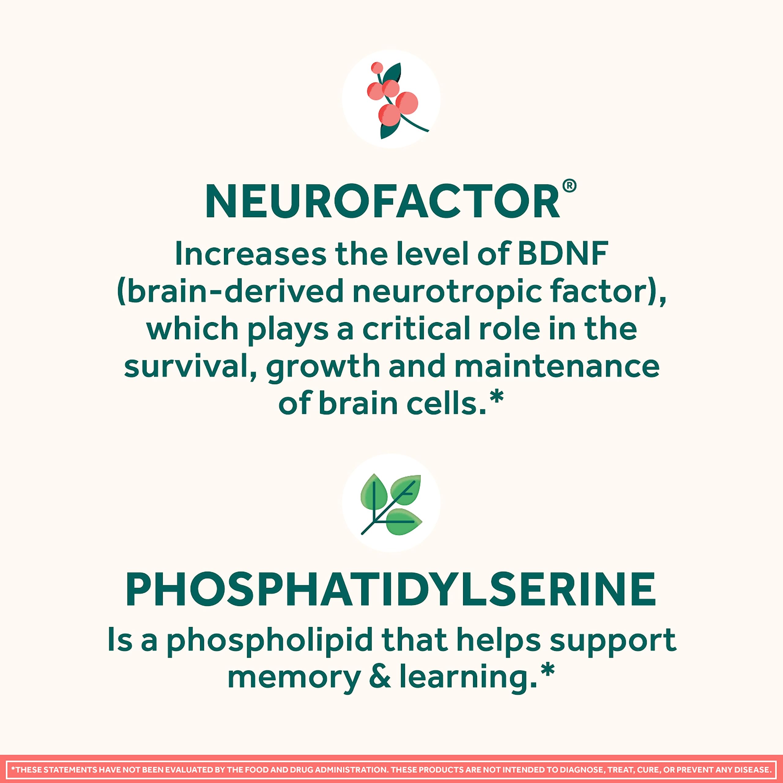 NEURIVA Original Brain Supplement for Memory, Focus & Concentration + Learning & Accuracy with Clinically Tested Nootropics Phosphatidylserine and Neurofactor, Strawberry Flavor, 50 Gummies NEURIVA Au supplements
