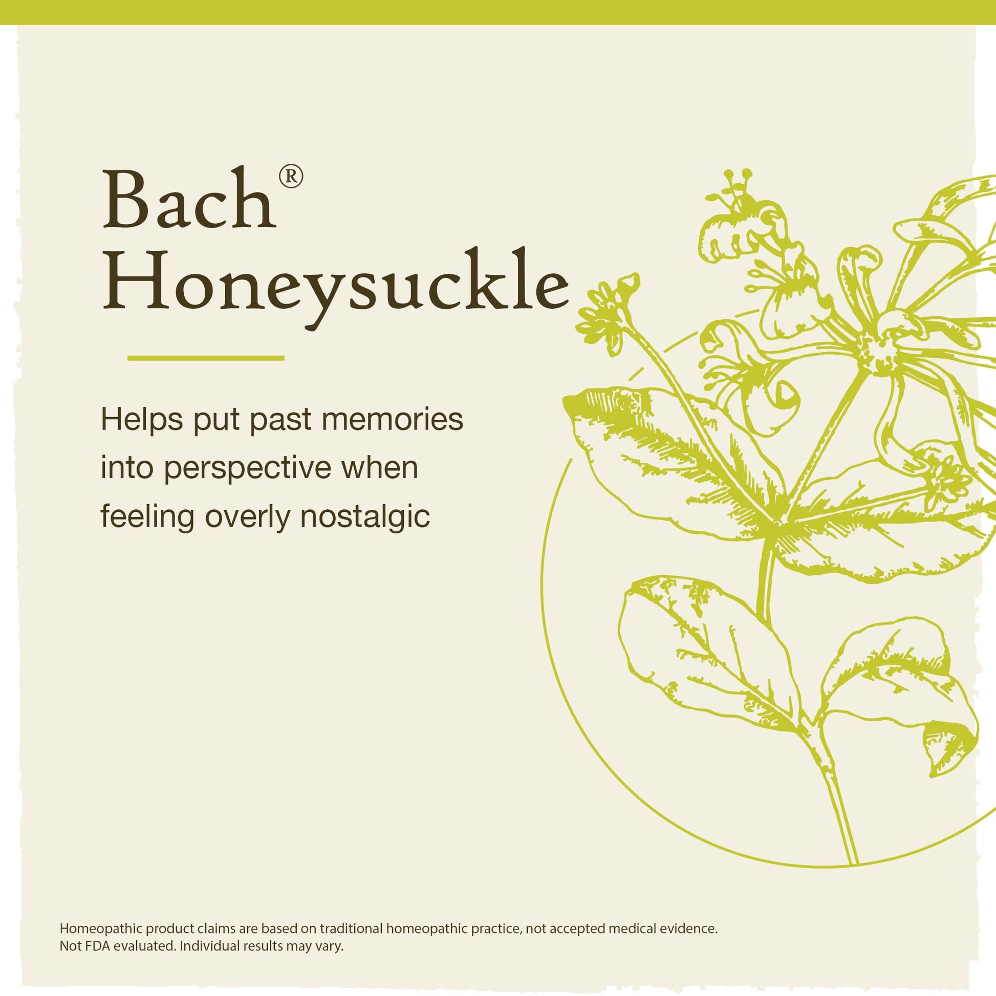 Bach Original Flower Remedies, Honeysuckle for Embracing The Now (Non-Alcohol Formula) Bach Au supplements