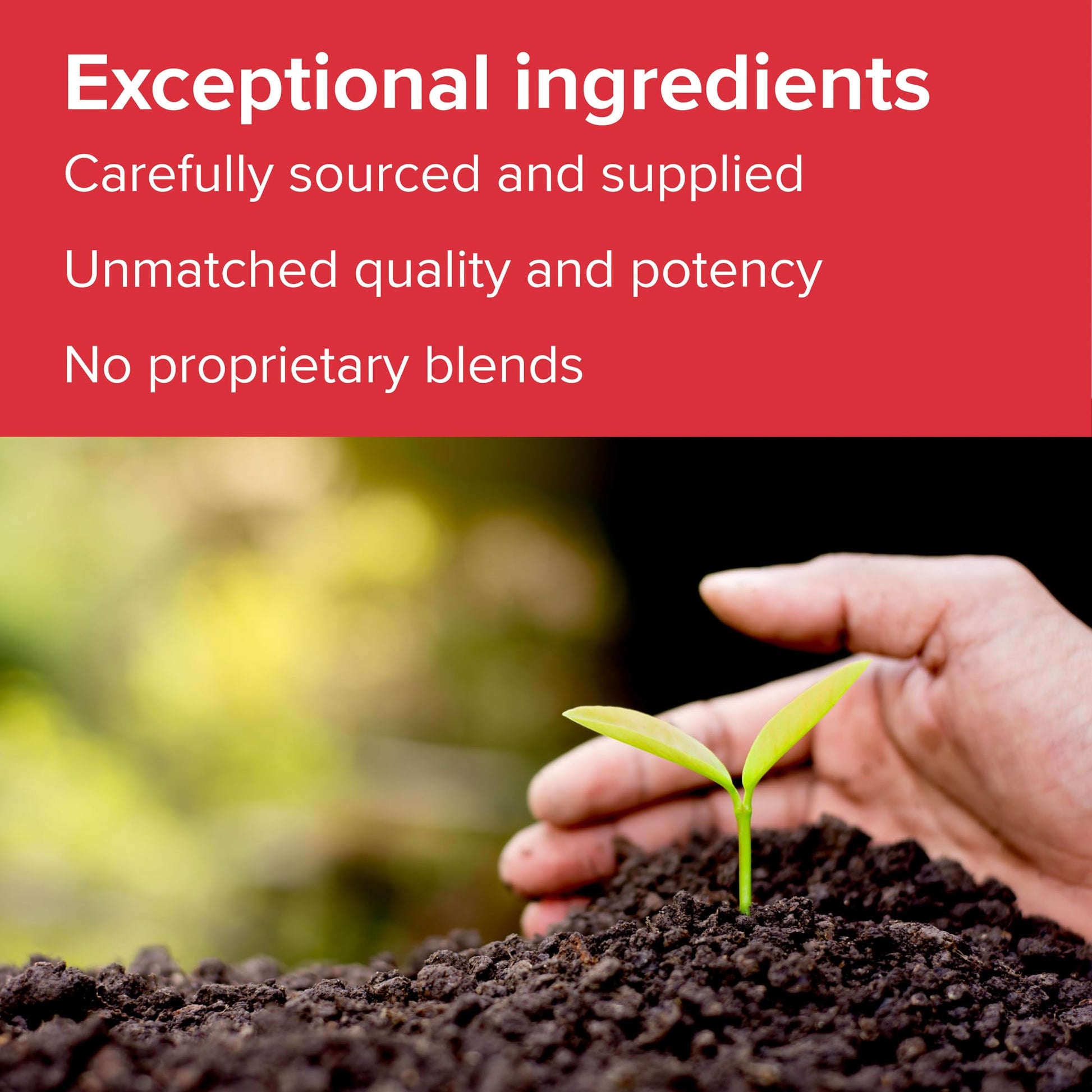 Vibrant Health - Super Natural Boron, Support for Healthy Joints, Hormone Levels, and Connective Tissue with Calcium Fructoborate and Broccoli Powder, Gluten Free, Vegetarian, Non-GMO, 60 Count Vibrant Health Au supplements