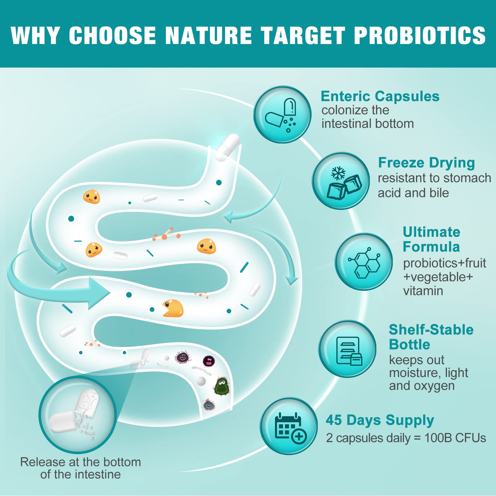 Probiotics for Women-Men-Kids Digestive Health, Prebiotics and Probiotics for Women NATURE TARGET Au supplements