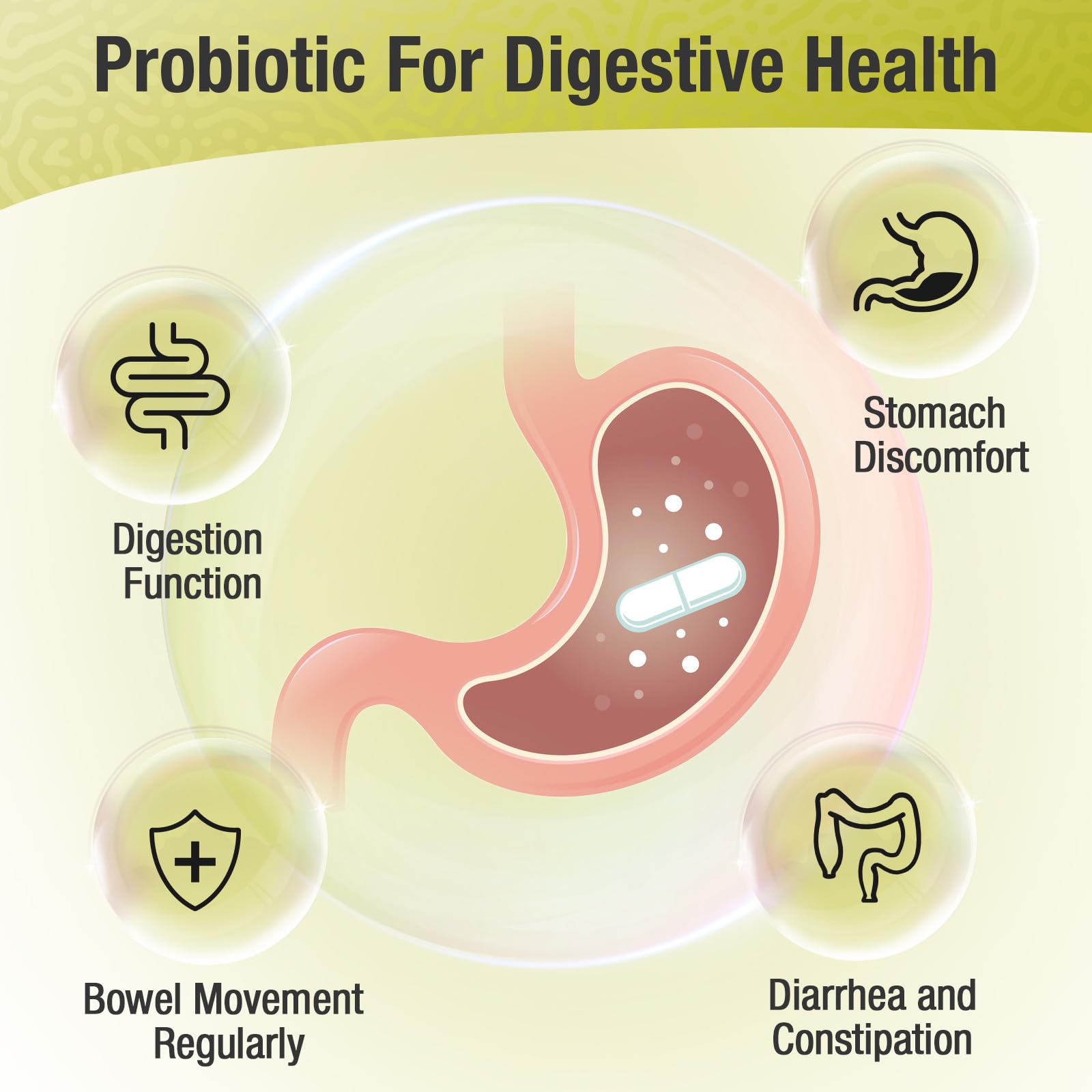Ascuoli Probiotics for Women & Men - 300 Billion CFU, 24 Strains Probiotics + 15 Organic Herbs Blend, Daily Probiotic for Digestive Health, Immune, Gut, Bloating - 60 Capsule Ascuoli Au supplements