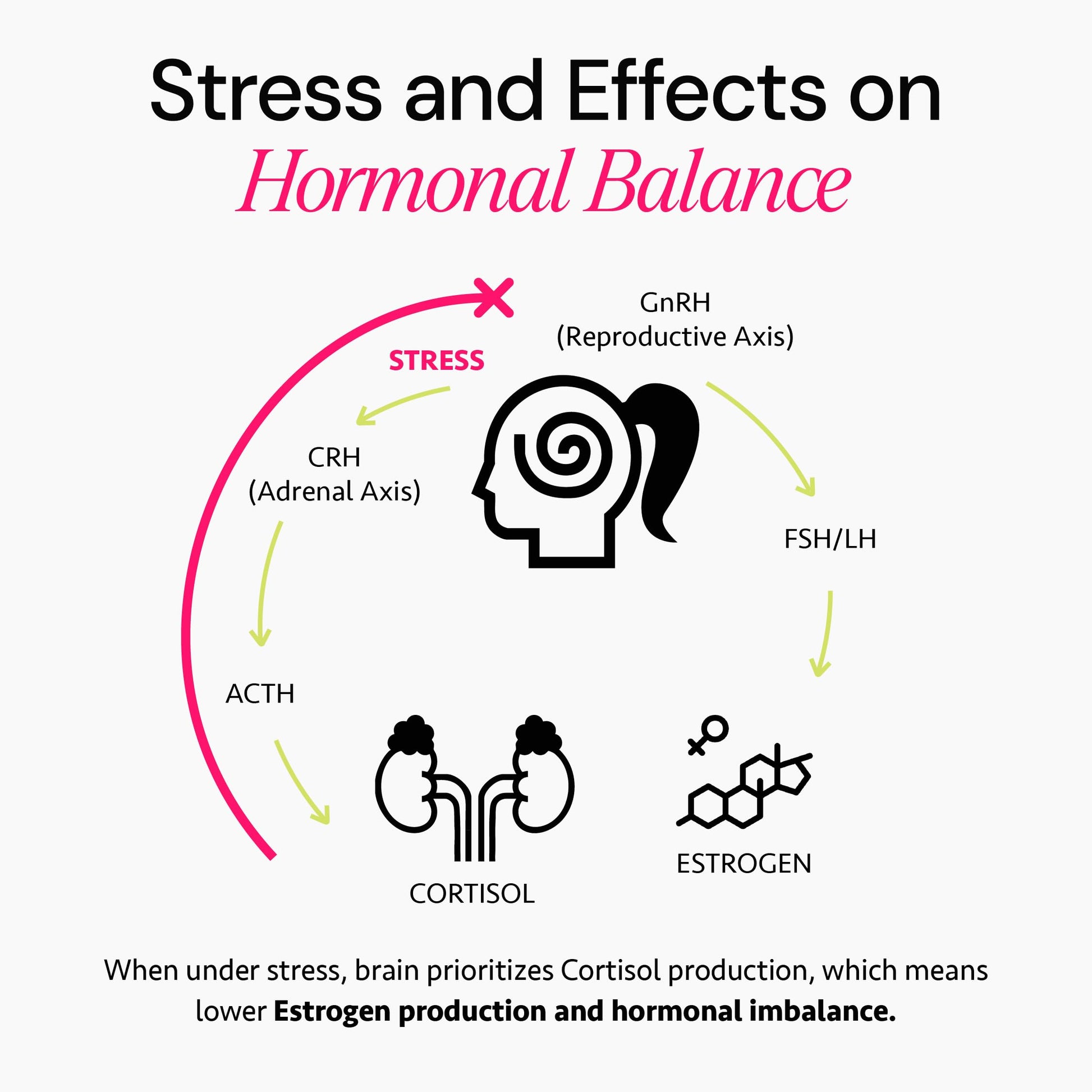 Ayurvedic Hormone Balance for Women | Cortisol Reducer | Mood, Energy, & Sleep Support | Regulates Estrogen | Stress Relief | Ashwagandha, Rhodiola, & Shatavari | Made in USA | 60 Ct. - OSH Wellness Freshly Moms Au supplements