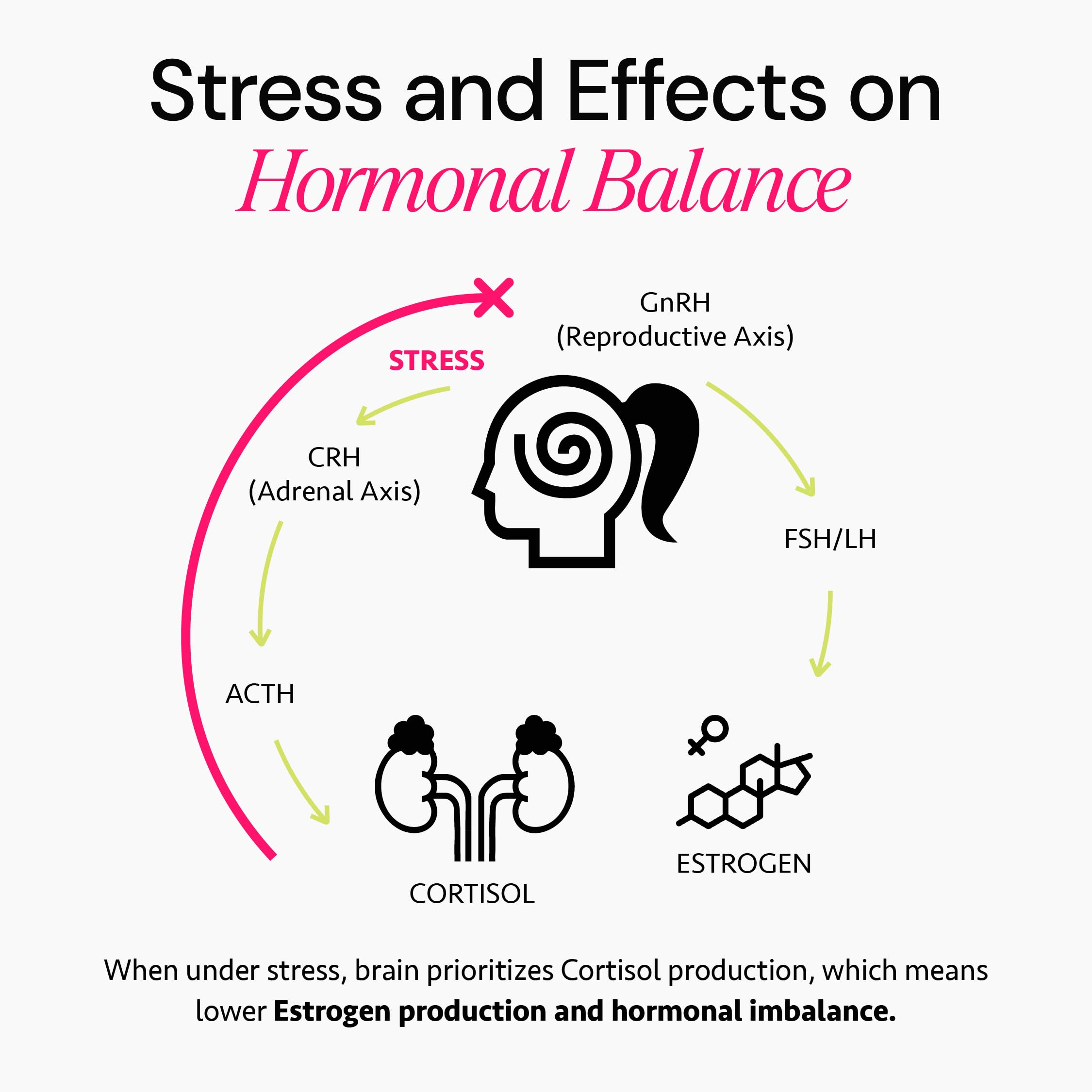 Ayurvedic Hormone Balance for Women | Cortisol Reducer | Mood, Energy, & Sleep Support | Regulates Estrogen | Stress Relief | Ashwagandha, Rhodiola, & Shatavari | Made in USA | 60 Ct. - OSH Wellness Freshly Moms Au supplements