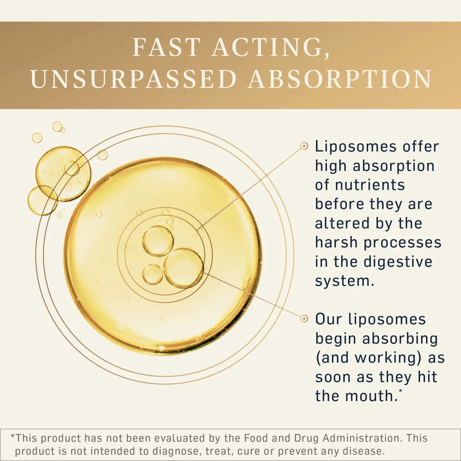 Quicksilver Scientific LipoCalm - Liposomal GABA with Herbs for Relaxation Support - Chamomile, Passionflower Herb & Skullcap Supplement for Peace of Mind & Sleep Calm Support (1.7oz / 50ml) Quicksilver Scientific Au supplements
