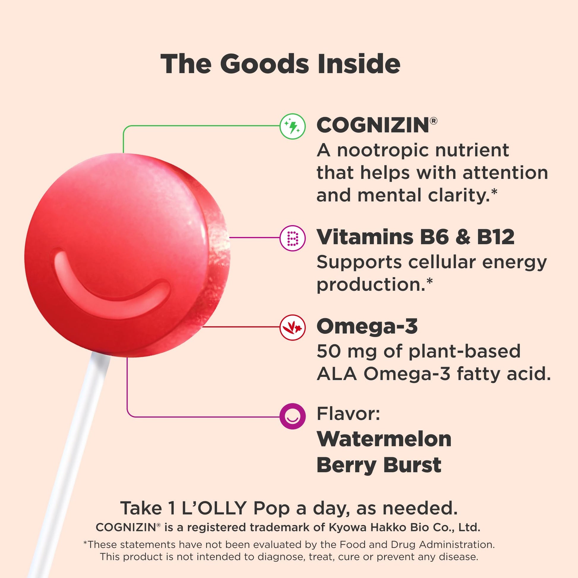 OLLY Focus Buddies L’OLLY Pops, Cognizin, Vitamins B6 and B12, Omega-3 ALA, Supports Focused Attention and Healthy Brain Function,* Kids 4+ Dietary Supplement, Watermelon Strawberry Flavored, 25 Count OLLY Au supplements