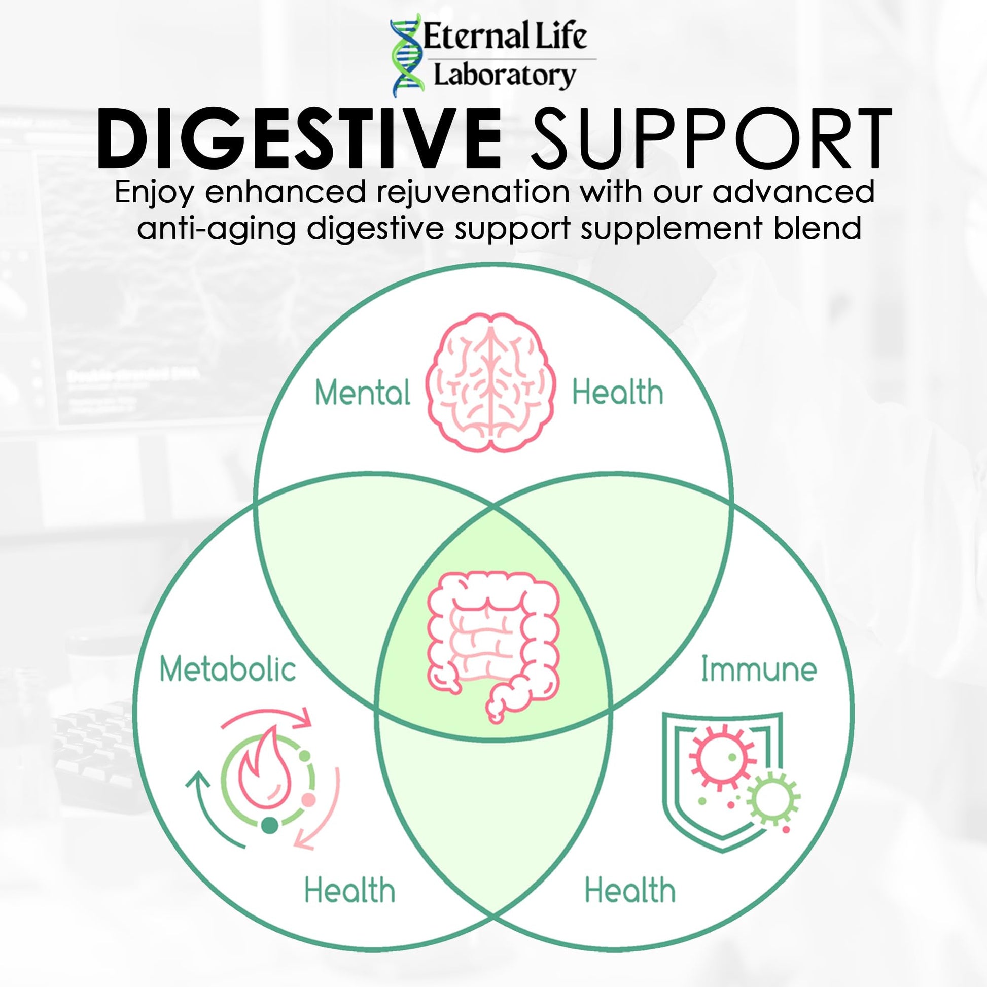 Probiotics for Women and Men, Daily Probiotic Supplement Probiotics and Triphala, Green Tea Extract - Anti-Aging Gut Health Optimizer - Intestinal, Colon & Digestive Health - 90 Capsules Eternal Life Laboratory Au supplements