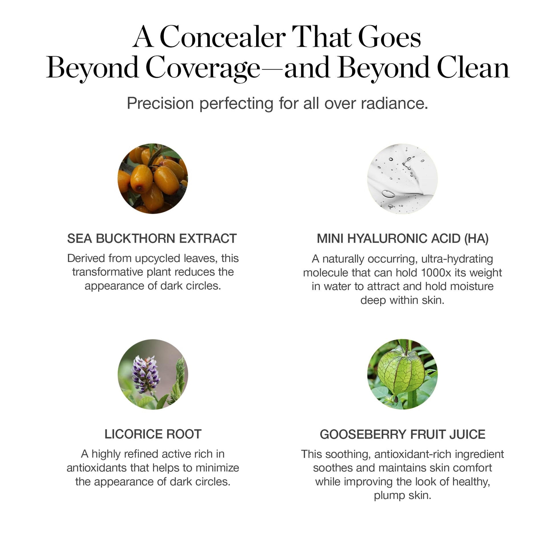 Ogee Complexion Perfecting Under Eye Concealer - Certified Organic Full Coverage Concealer - Buildable Coverage - OSIER 1.75W - Light Medium (Olive Undertones) Ogee Au supplements
