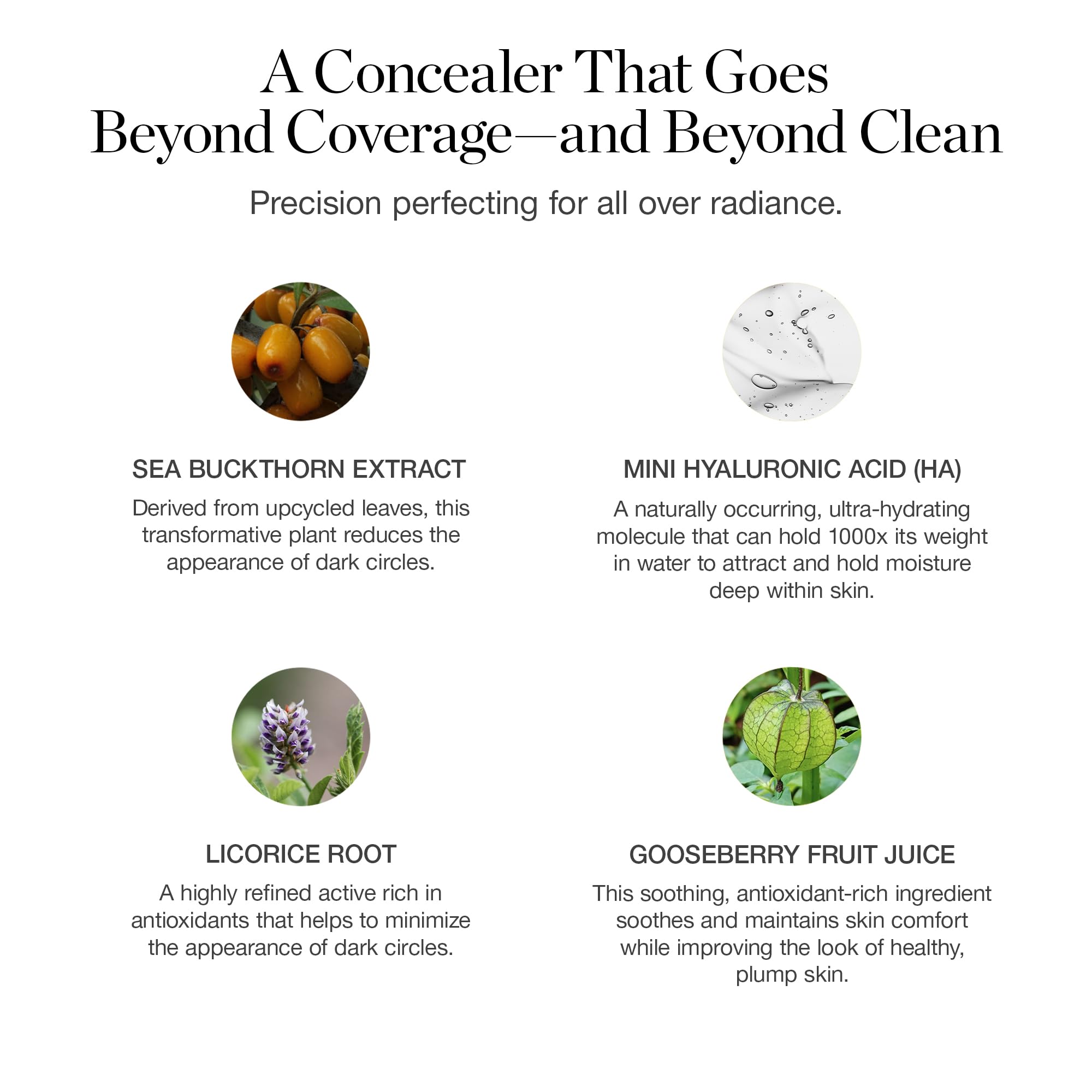 Ogee Complexion Perfecting Under Eye Concealer - Certified Organic Full Coverage Concealer - Buildable Coverage - OSIER 1.75W - Light Medium (Olive Undertones) Ogee Au supplements