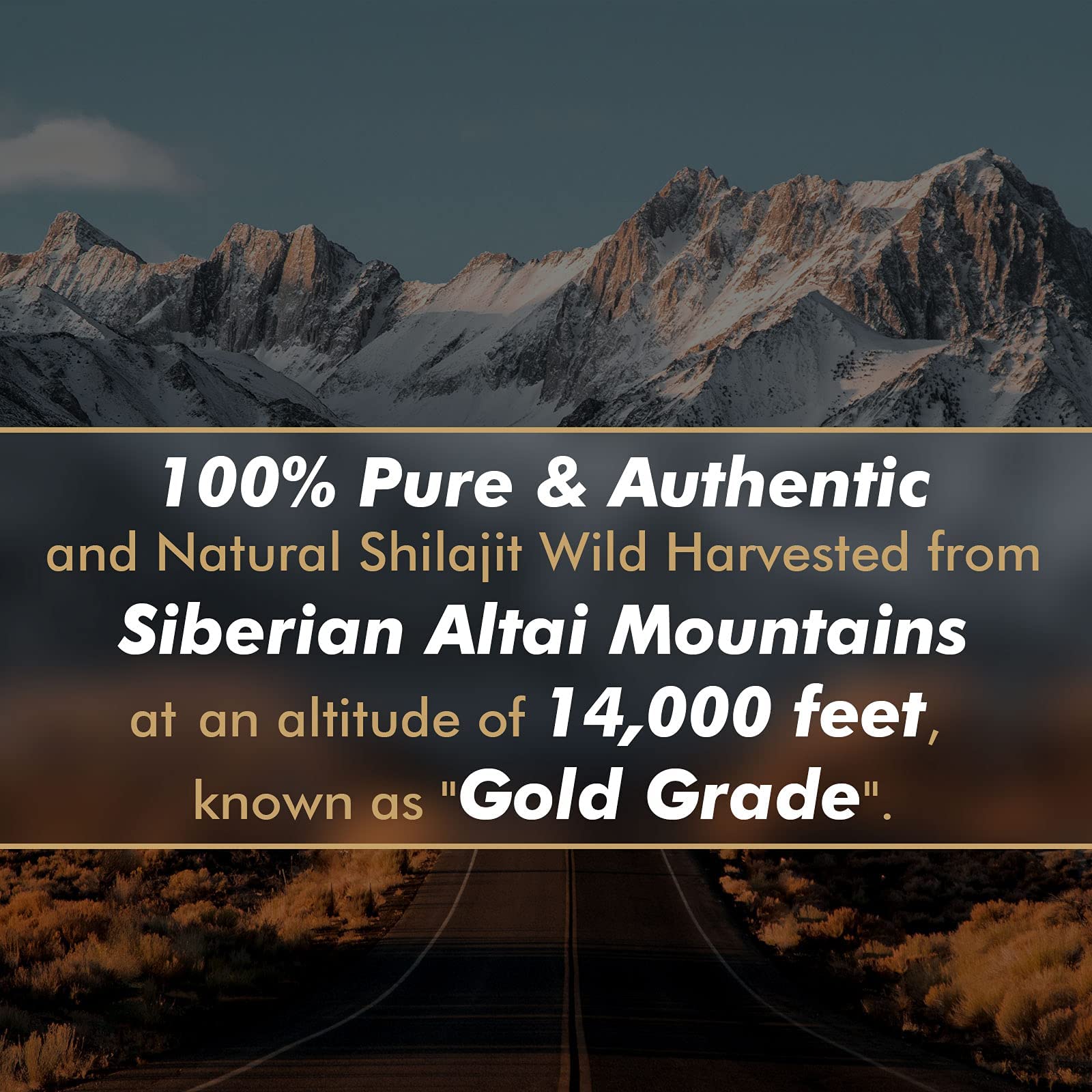 Shilajit Resin with Fulvic Acid & Trace Minerals, Original Siberian Pure Shilajit with 85+ Humic ALTAY MUMMIYO Au supplements
