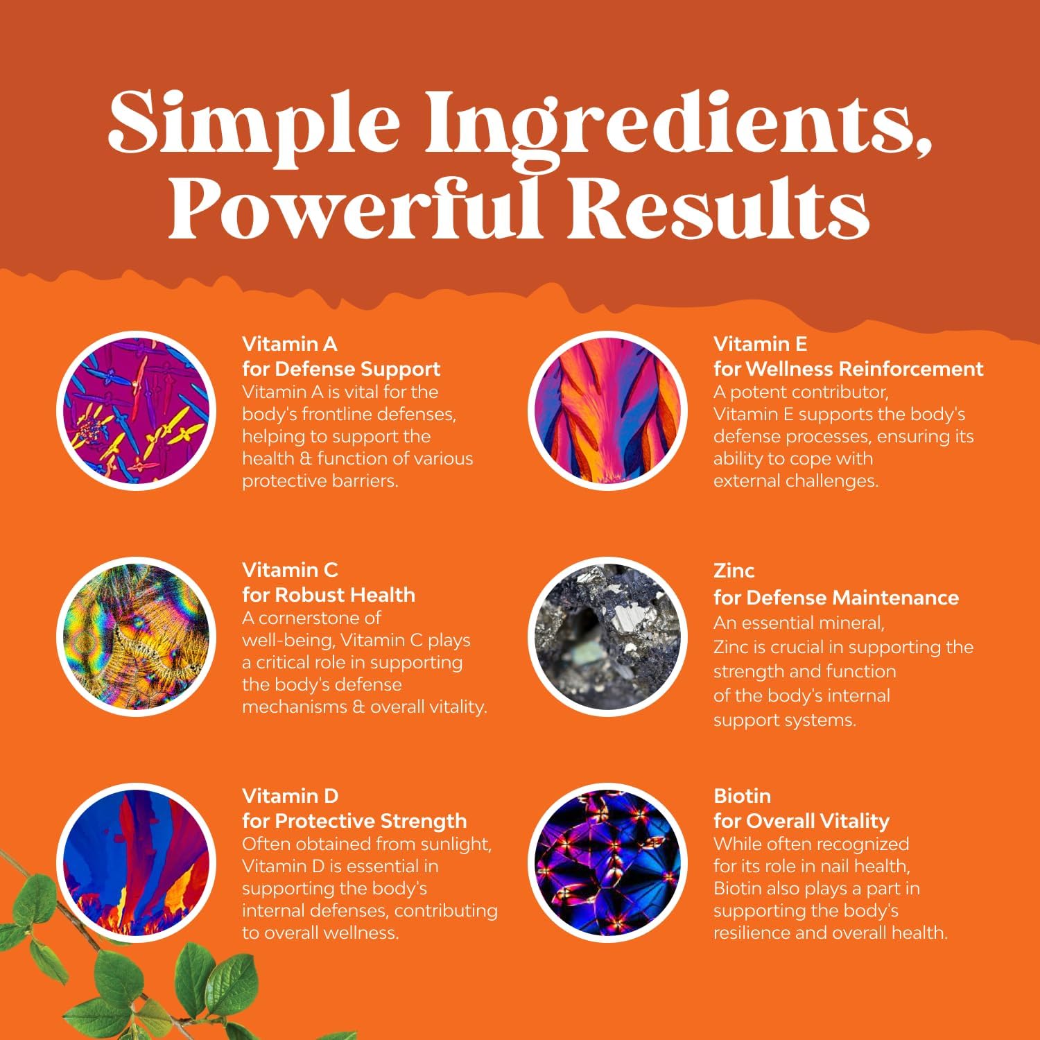 Potent Daily Multivitamin Gummies for Adults - Wellness Blend of Vitamin D A C E B12 Zinc and Biotin - Adult Vitamin Gummy for Energy and Immune Health Natures Craft Au supplements