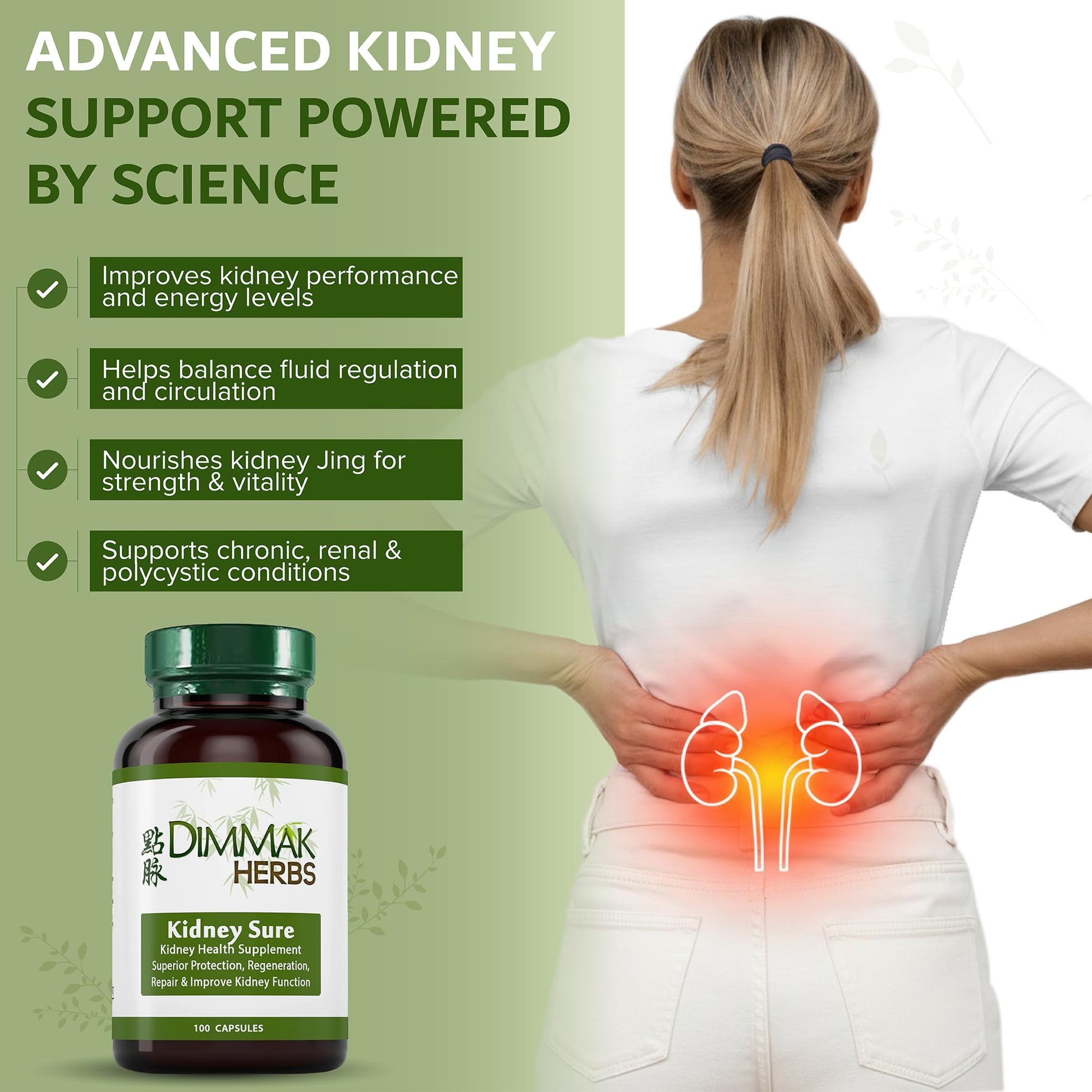 Dimmak Herbs Kidney Sure- Kidney Cleanse & Revitilization Tonic- Organic Herbal Support for Renal Health, Urinary Tract Flow & Vitality- TCM Doctor Formulated, Vegan- 400mg 100 Capsules Dimmak Herbs Au supplements